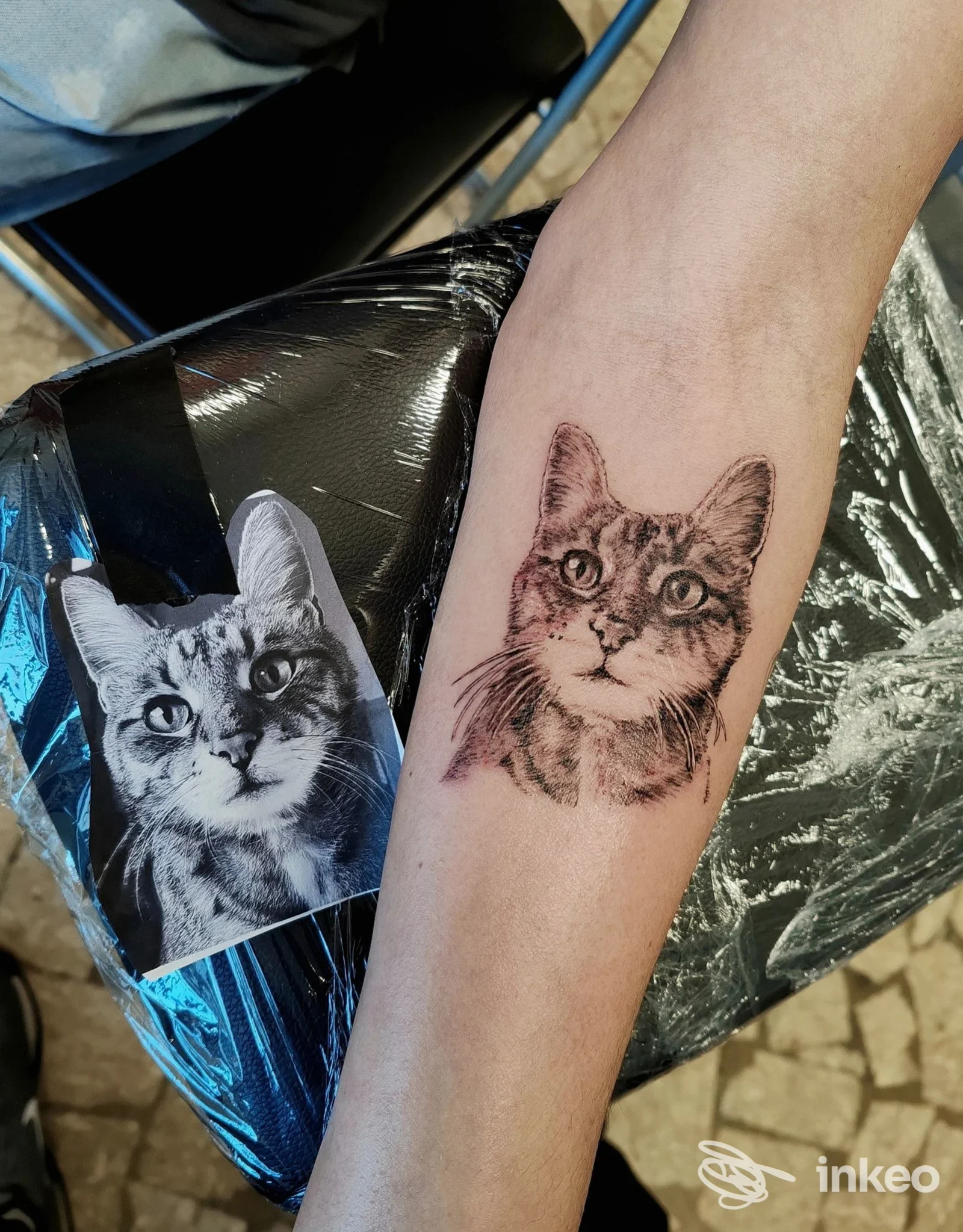 Tatuaggio ritratto realistico di un gatto sull'avambraccio; riferimento fotografico visibile accanto. Castle Tattoo - Tatuaggi Roma, Roma.