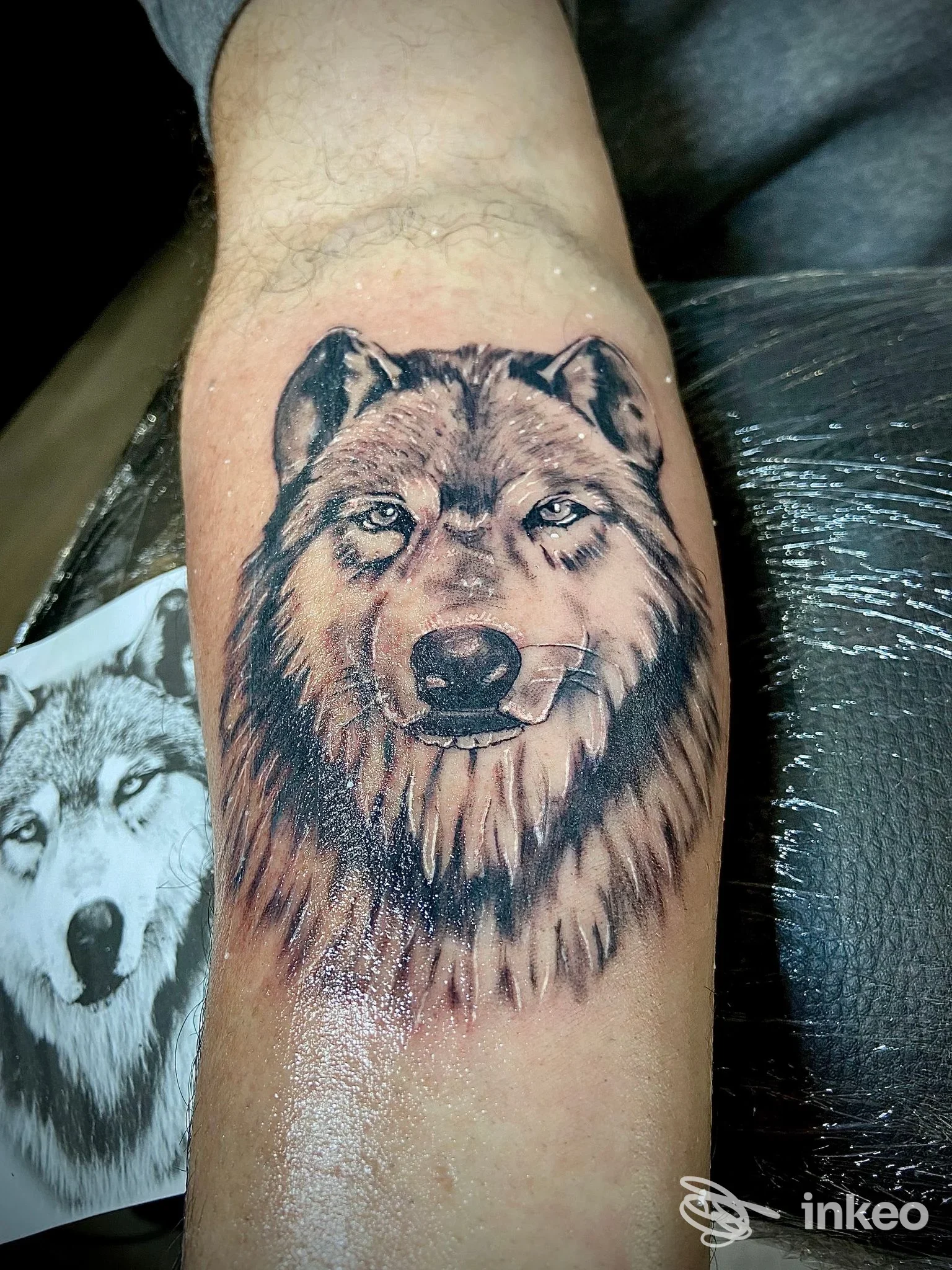 Primo piano di un tatuaggio realistico di testa di lupo sull'avambraccio, realizzato da DQ Ink Tattoo a Cantalupo in Sabina.