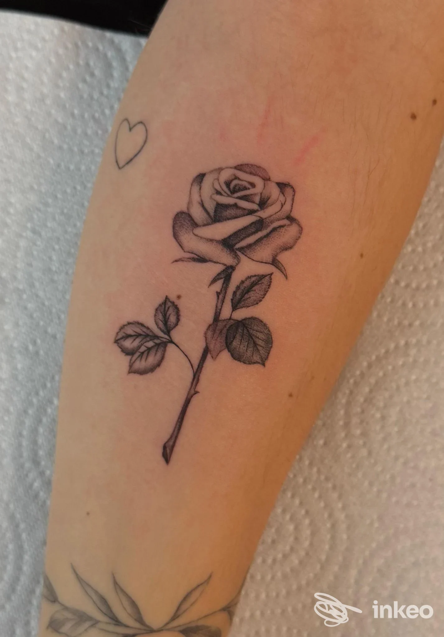 Tatuaggio di una rosa nera con foglie sull'avambraccio, Dolce Vita Tattoo Gallery, Roma.