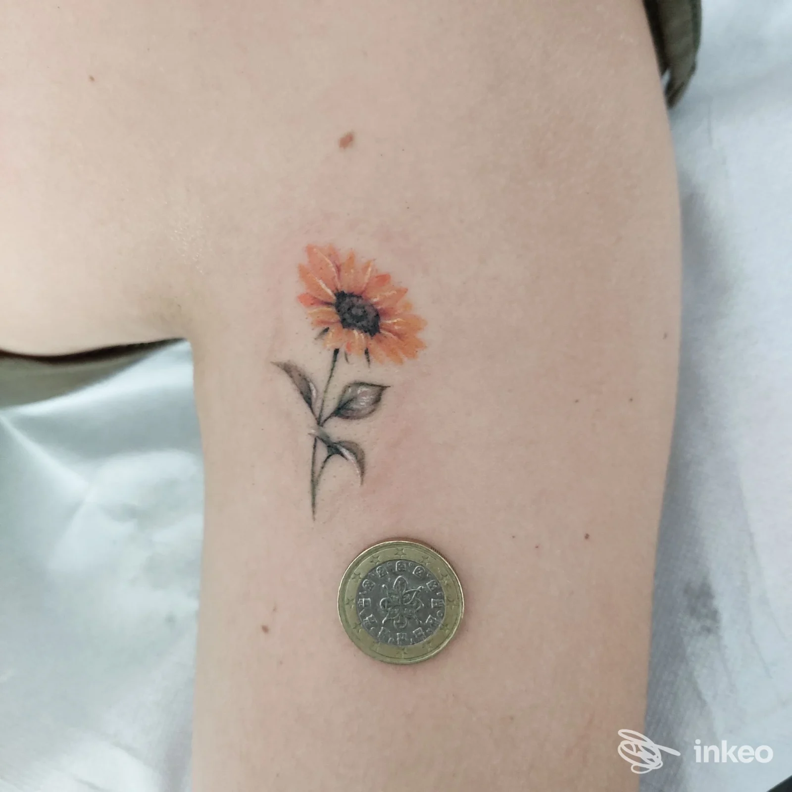Piccolo tatuaggio a fiore su braccio superiore, foto inviata da Come Ink Tattoo di Loris, Villalba, con moneta per misura.
