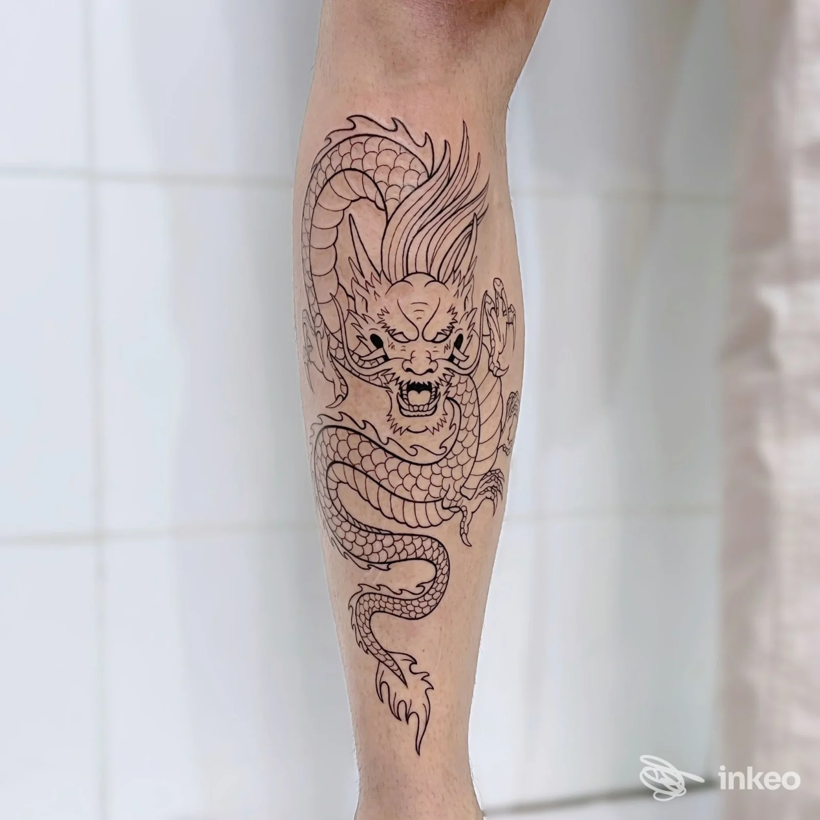 Grande tatuaggio a linee raffigurante un drago avvolto sul polpaccio, fotografia documentale di Domus Tattoo, Roma.