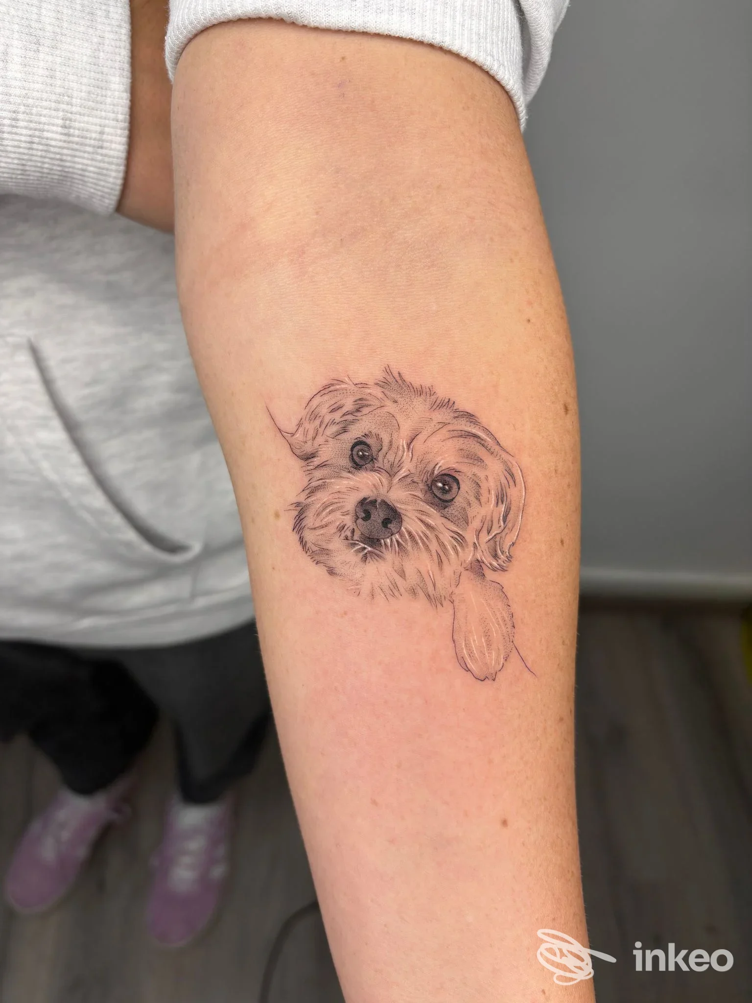 Tatuaggio ritratto di un cane sull'avambraccio, foto inviata da Floreiki Tattoo a Roma.