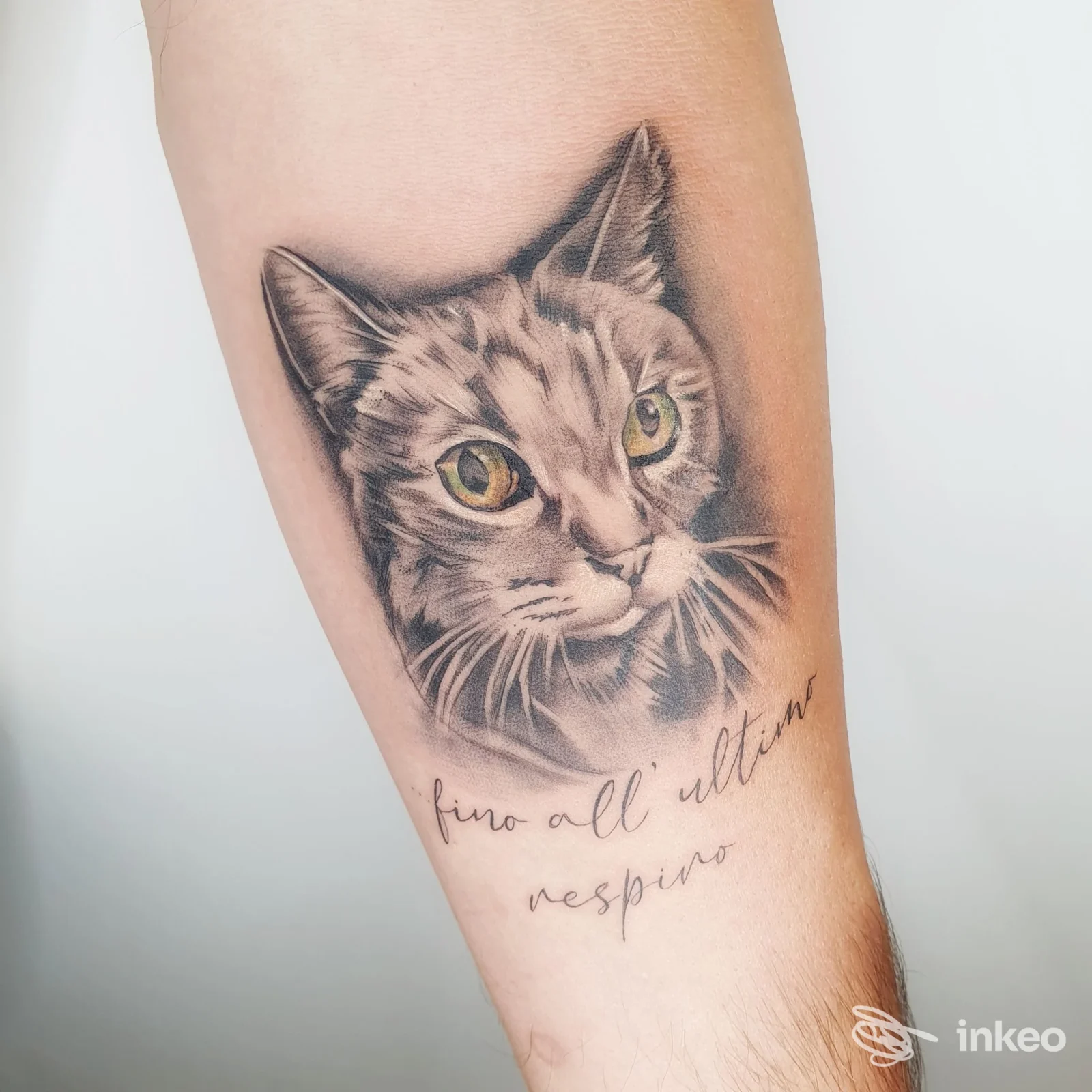 Tatuaggio realistico di un volto di gatto con occhi verdi e scritta corsiva sull'avambraccio, eseguito da Francisco Tattoo Studio a Monte Porzio Catone.