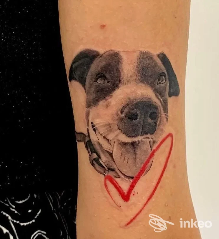 Ritratto realistico di un cane tatuato sull'avambraccio. Lavoro eseguito da Giordano Marinelli Tattoo Studio, Supino.