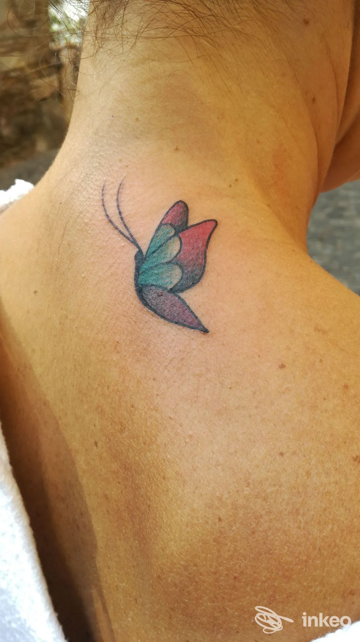 Piccola farfalla colorata tatuata sulla parte superiore della schiena/collo, foto per Hard Work Tattoo a Roma.