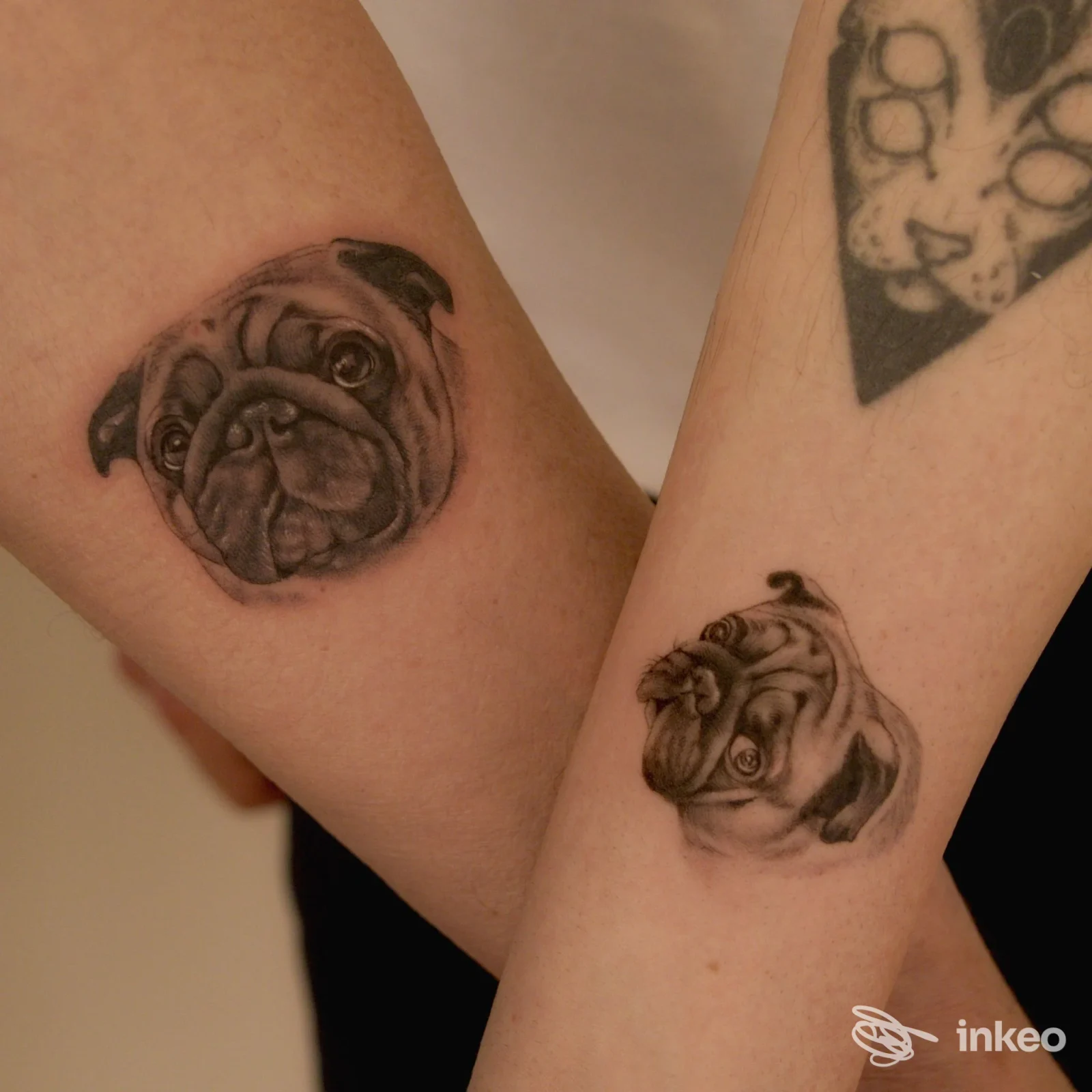 Due tatuaggi realistici del muso di un carlino sugli avambracci, foto inviata da Hera Tattoo Studio a Roma.