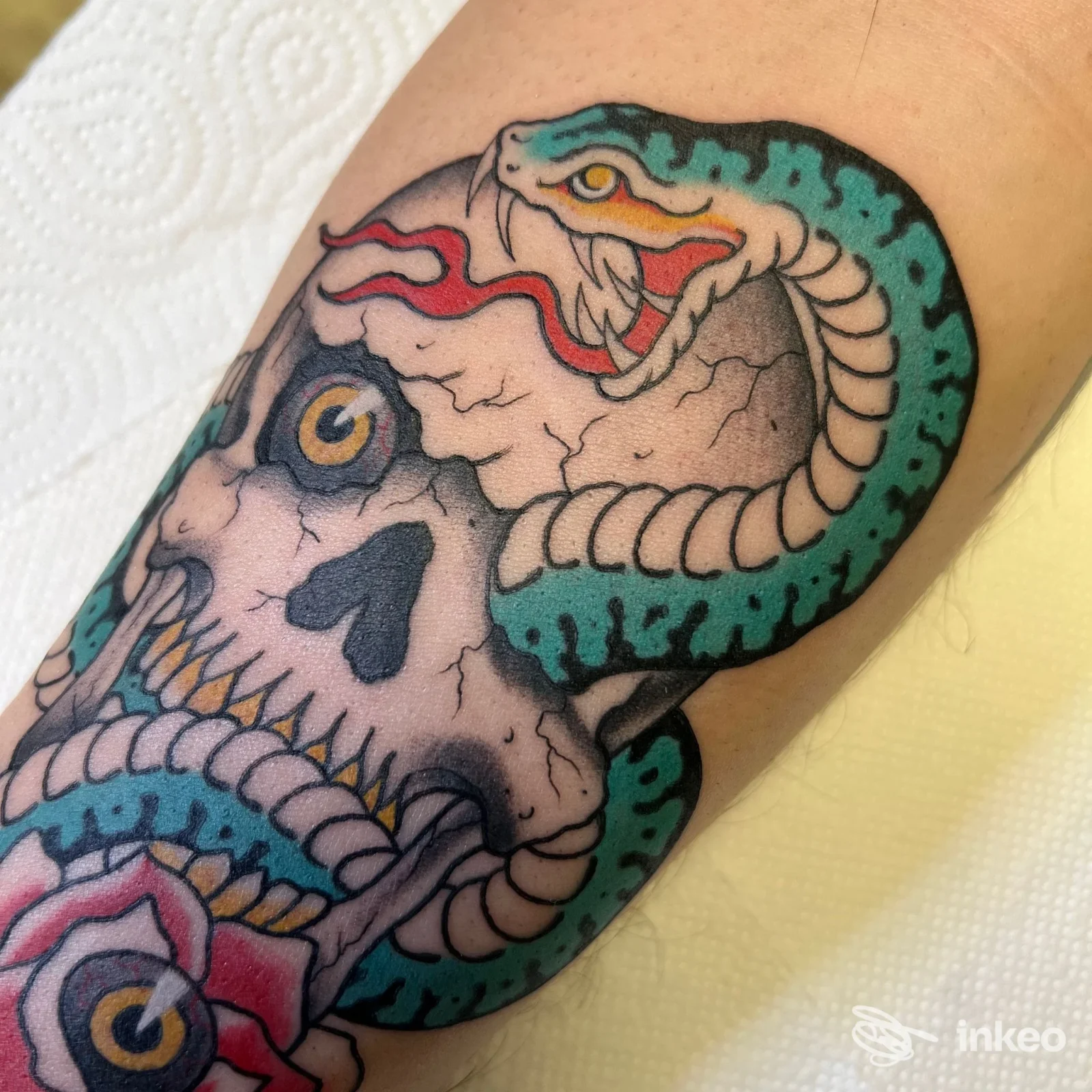 Tatuaggio su avambraccio: teschio stilizzato avvolto da serpente colorato. Immagine da Sailor Sigh Tattoo Parlour, Formia.