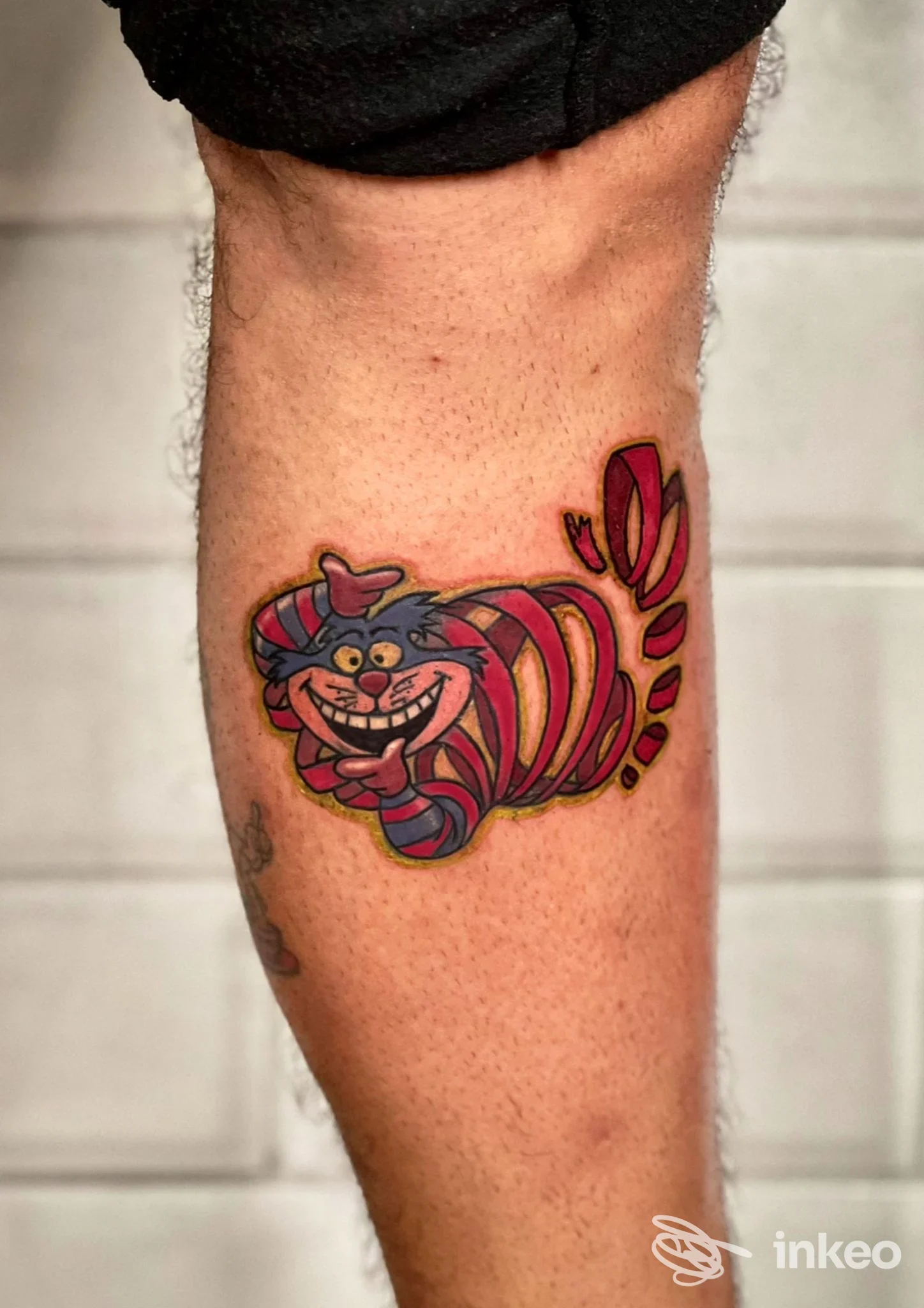 Tatuaggio colorato del Gatto sul polpaccio, linee nette e riempimenti vibranti, opera mostrata da SG INK Tattoo & Piercing, Roma.