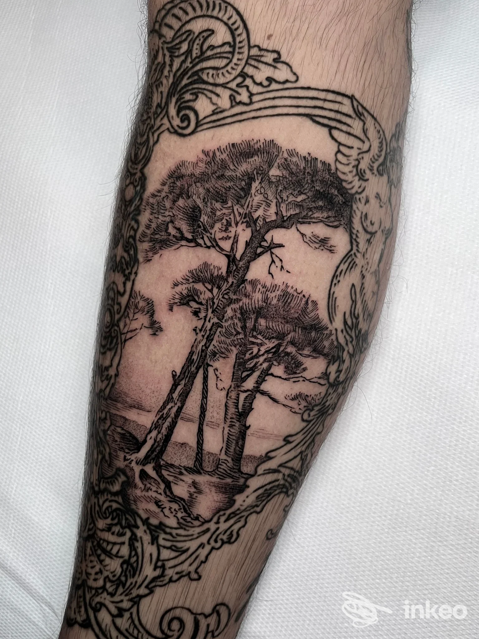Tatuaggio al tratto con alberi e cornice decorativa sull'avambraccio, fotografia di Seabird Studio - Tattoo & Piercing Roma, Roma.