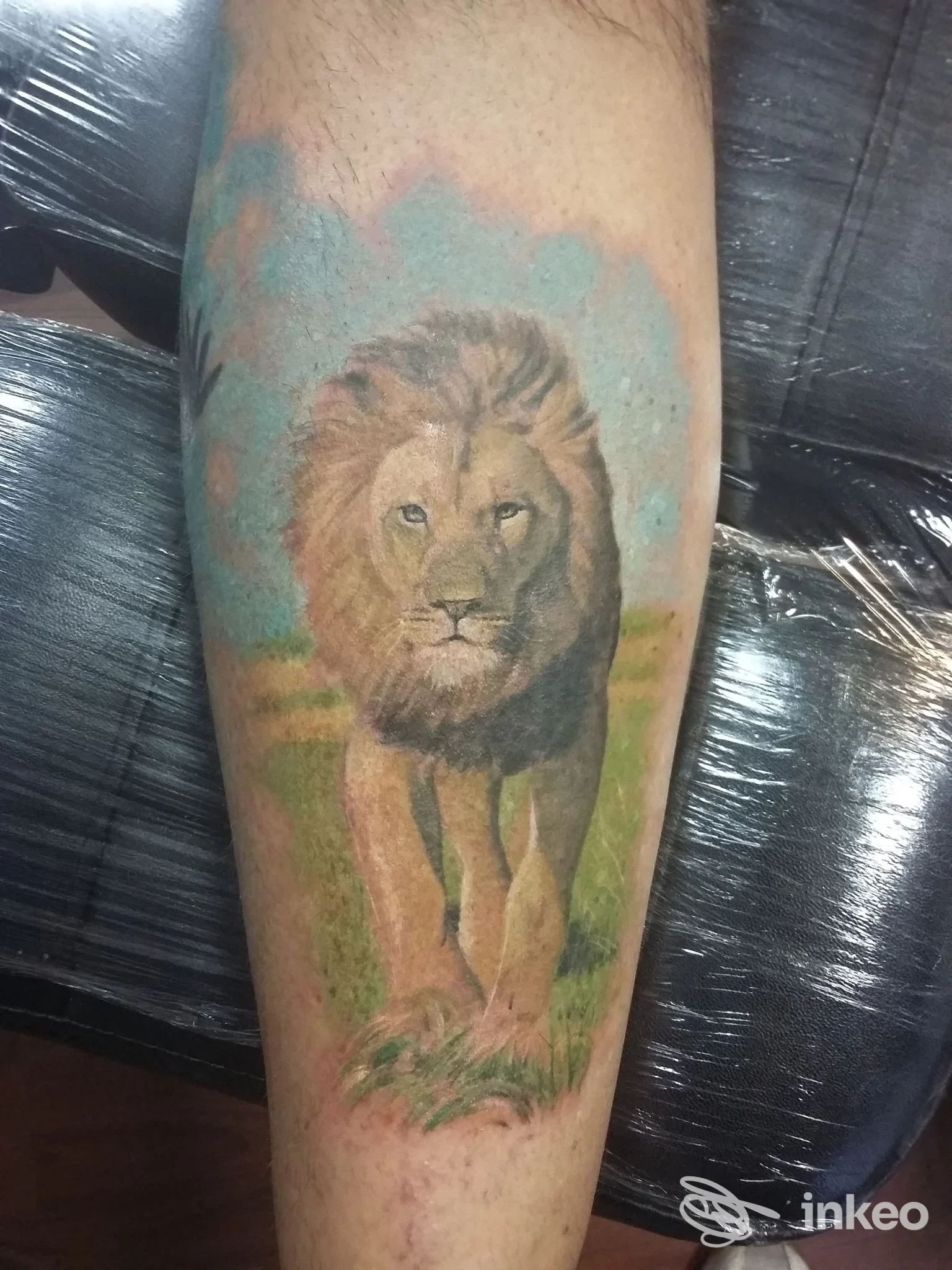 Tatuaggio realistico di un leone a figura intera su avambraccio maschile, eseguito da Slevin Tattoo a Roma.