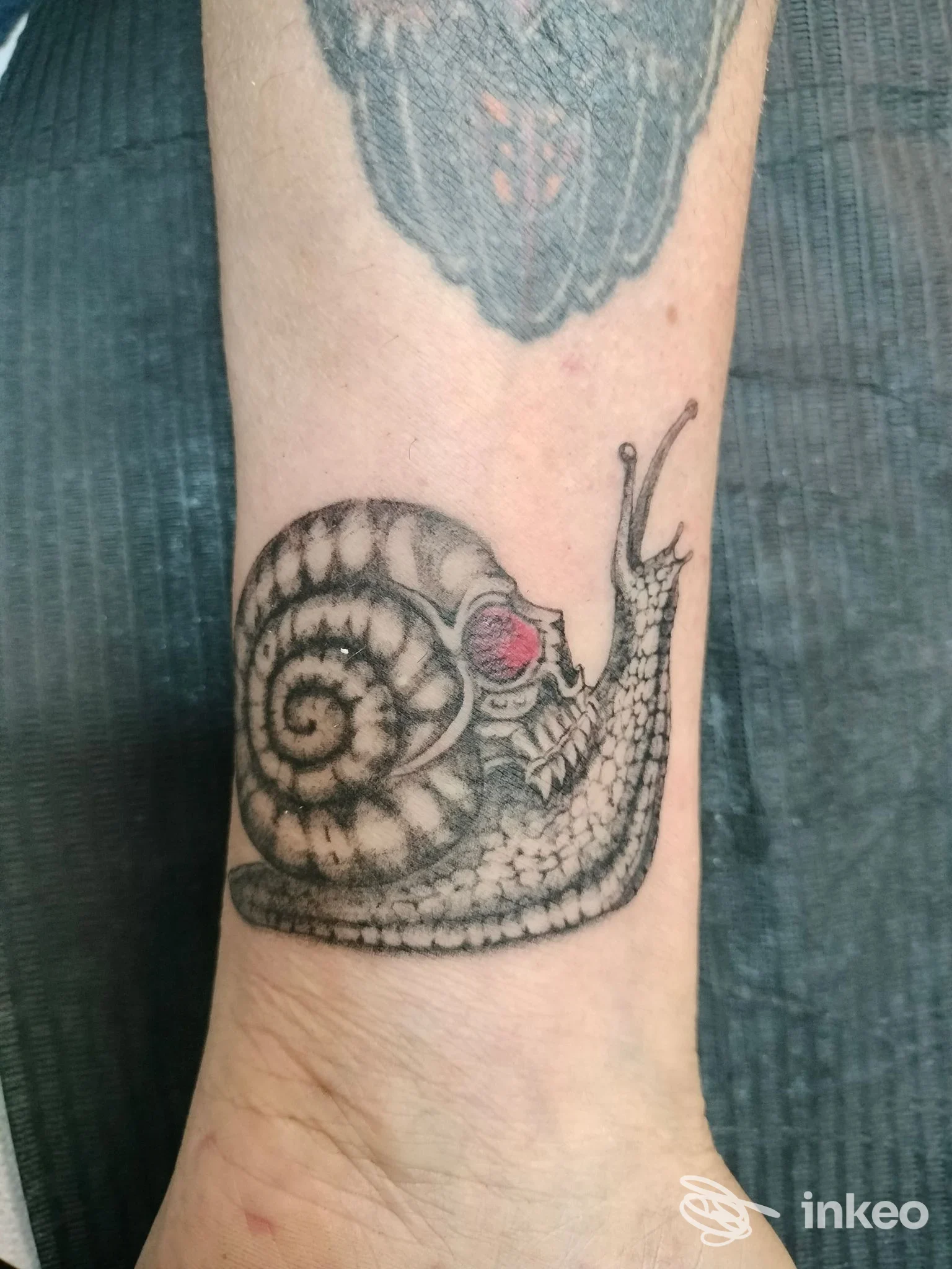 Tatuaggio a forma di lumaca sul polso/avambraccio, fotografato per South West Tattoo di Gloria Alessandro a Roma.