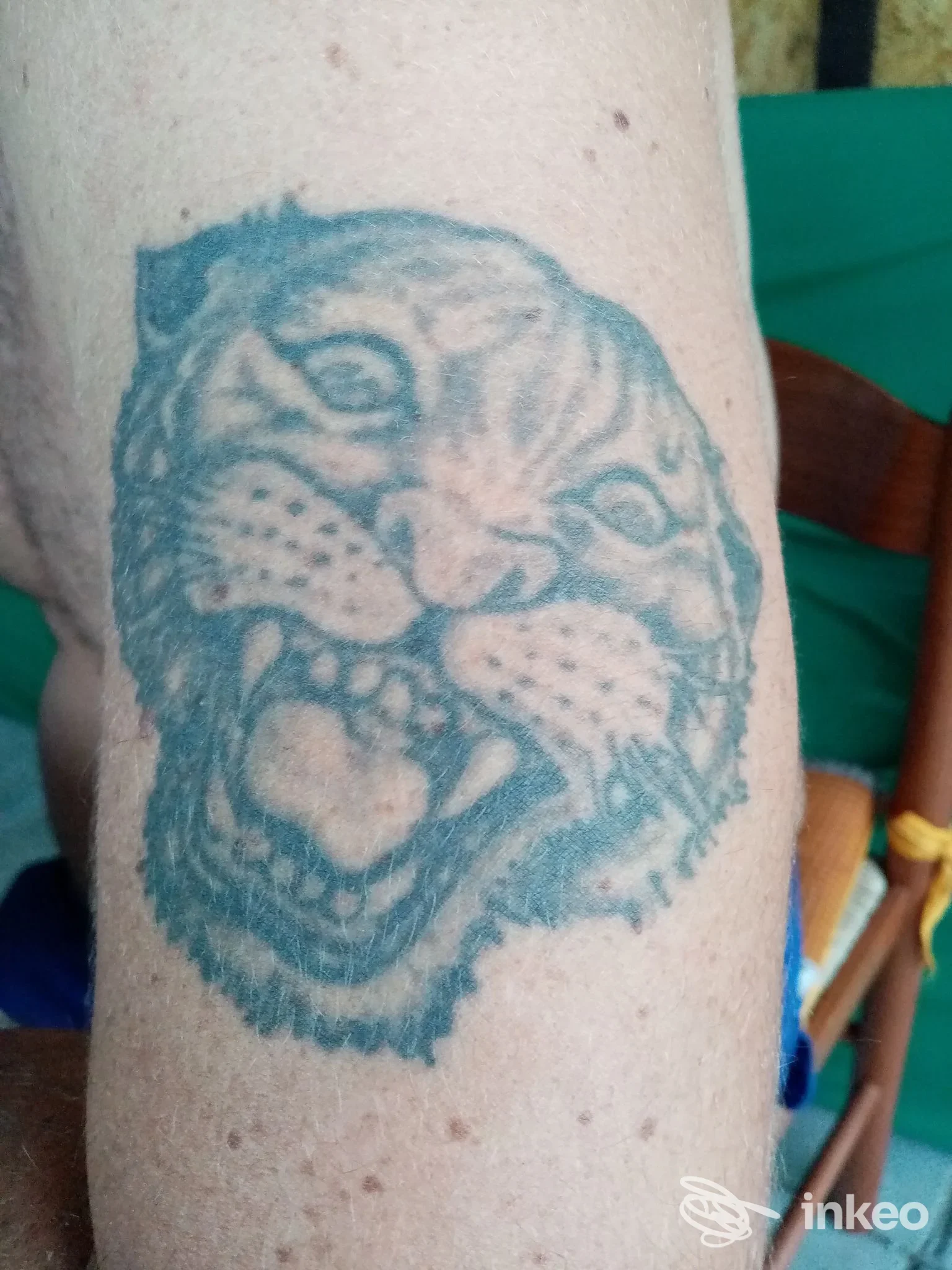 Primo piano di un tatuaggio head felino su avambraccio, foto fornita per Stefano Cacciaconti Tattoo Studio a Viterbo.