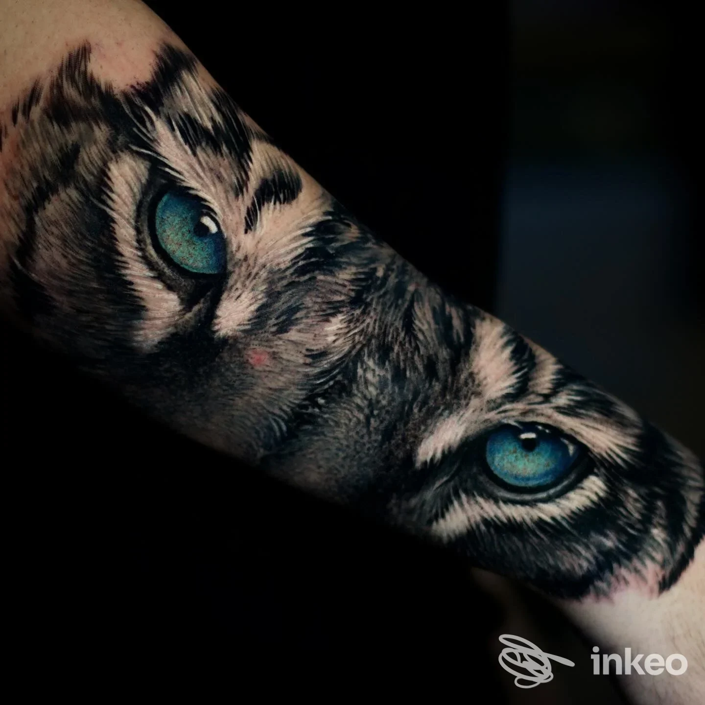 Tatuaggio realistico di occhi di tigre sull'avambraccio, lavoro eseguito da Artifact Studios, Roma.
