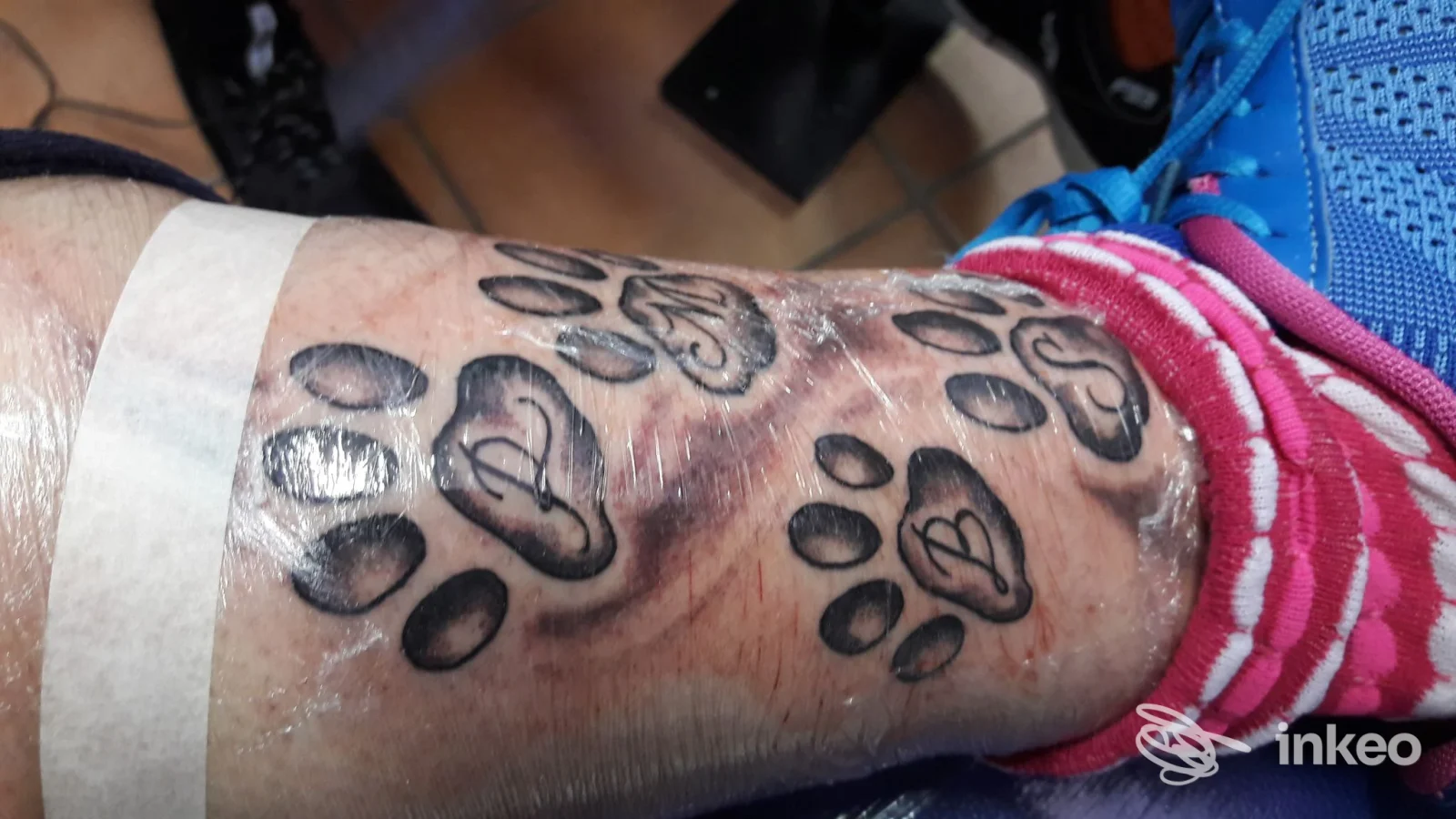 Avambraccio con diversi tatuaggi a impronta di zampa freschi coperti da pellicola, immagine fornita da White Fang Tattoo, Roma.