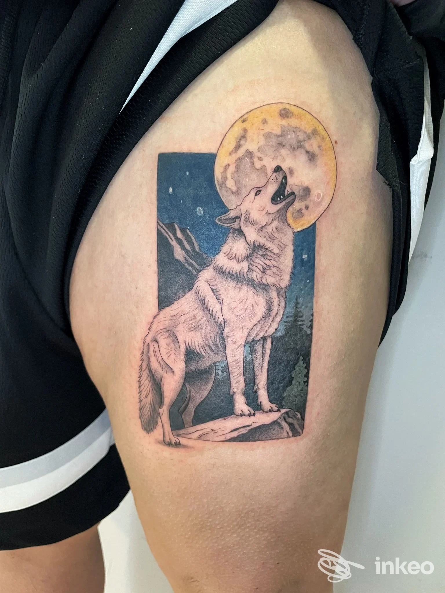 Tatuaggio su coscia con lupo che ulula alla luna, realizzato da magorium tattoo studio a Roma.