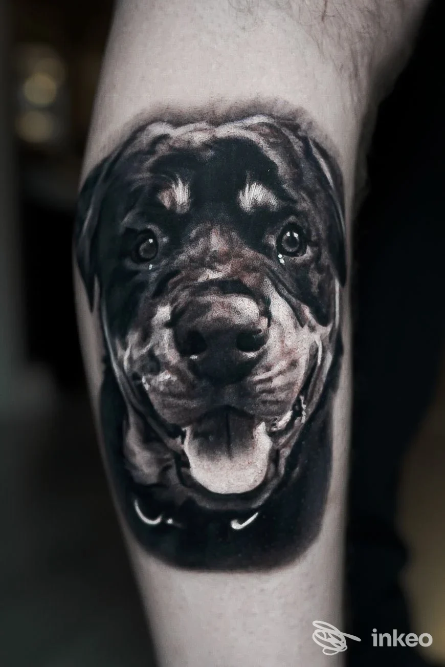 Tatuaggio realistico del muso di un cane sull'avambraccio, realizzato da Bloody Anvil Tattoo, Roma.
