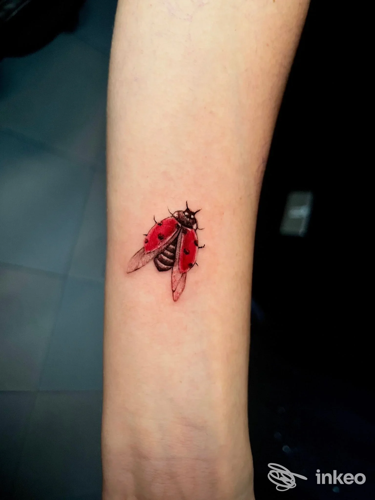 Tatuaggio su avambraccio di una coccinella rossa con ali trasparenti, in stile realistico, realizzato sulla pelle.