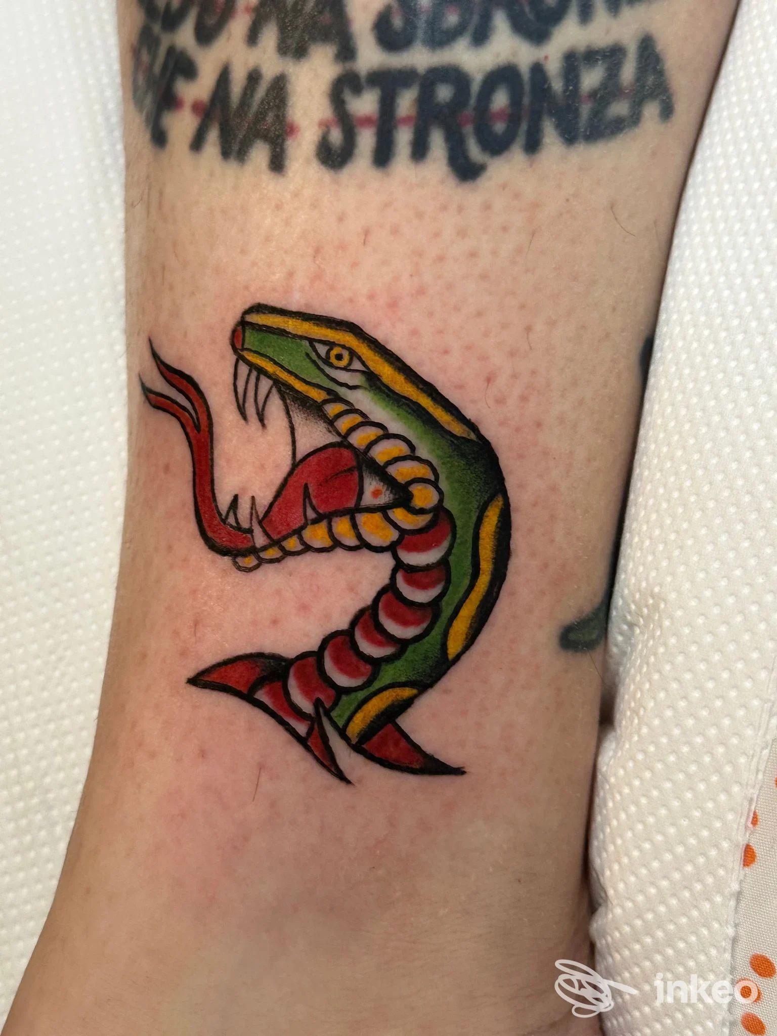 Tatuaggio a colori di una testa di serpente su gamba/caviglia, fotografia fornita da Cuore Sacro Tattoo e piercing, Roma.