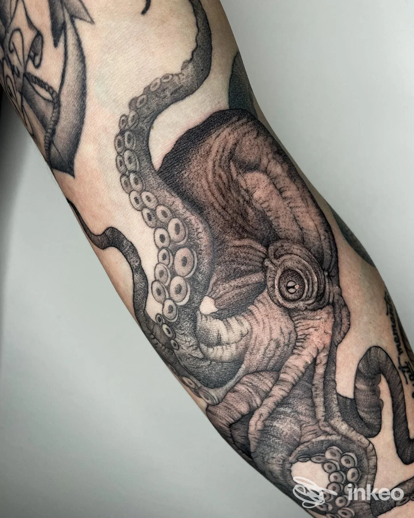 Primo piano di un tatuaggio di polpo in bianco e nero su avambraccio, realizzato da Fine Line Tattoo Nefermaly Ink a Roma.