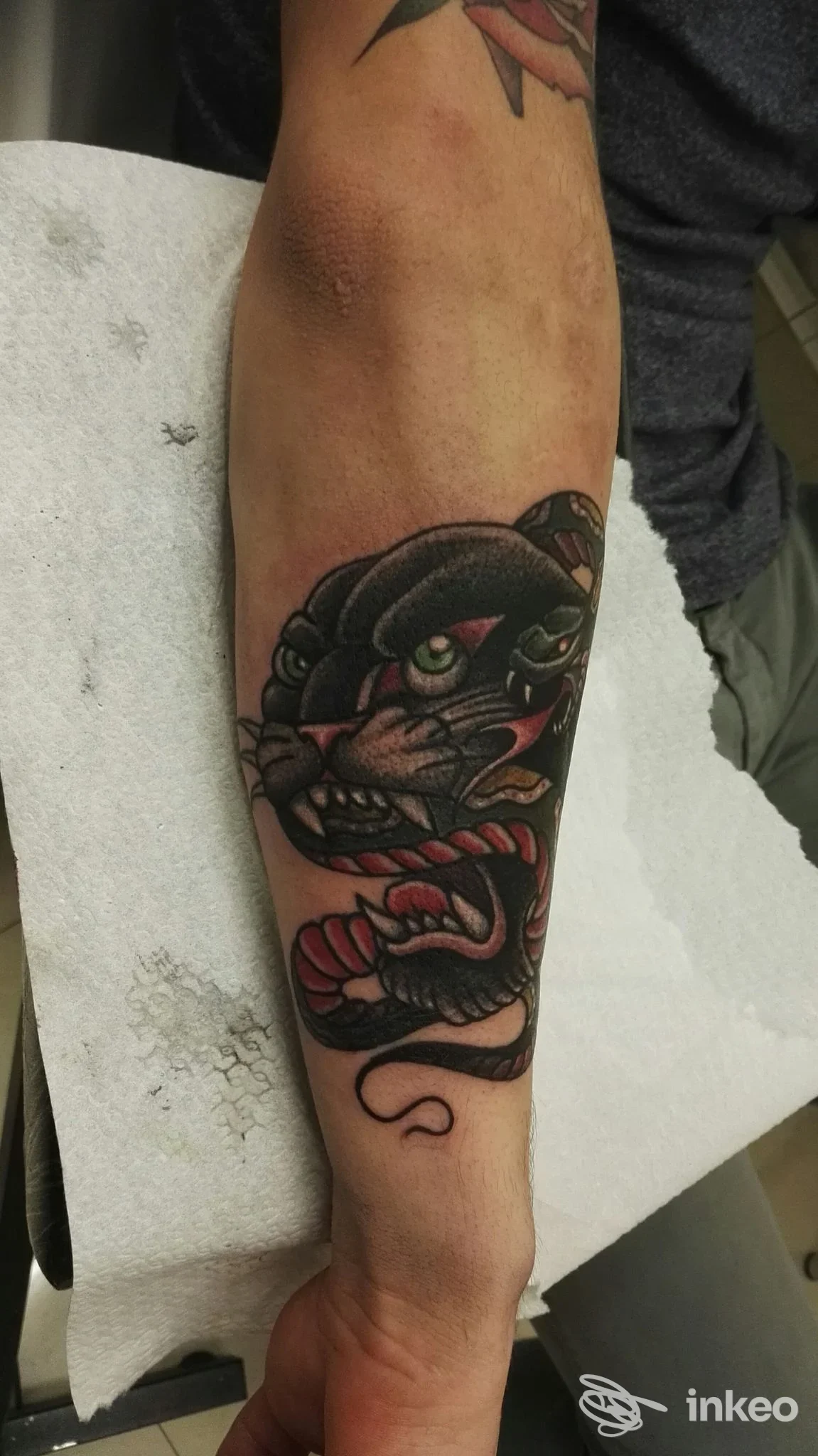 Avambraccio destro con ampio tatuaggio figurativo di testa di pantera, fotografato presso Love Hate Tattoo a Roma.