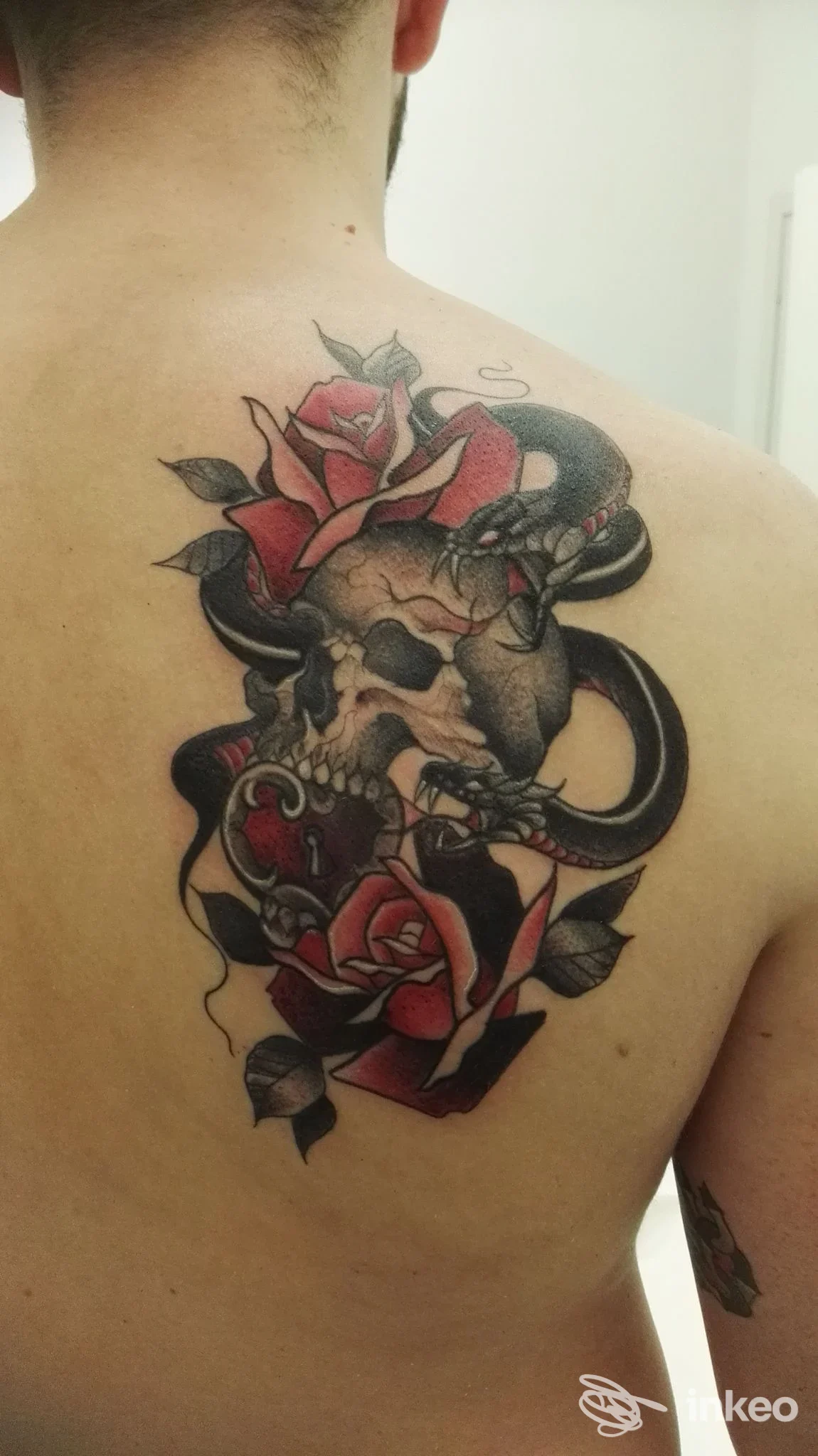 Tatuaggio grande sulla parte alta della schiena con teschio, rose rosse e serpente — Love Hate Tattoo, Roma.