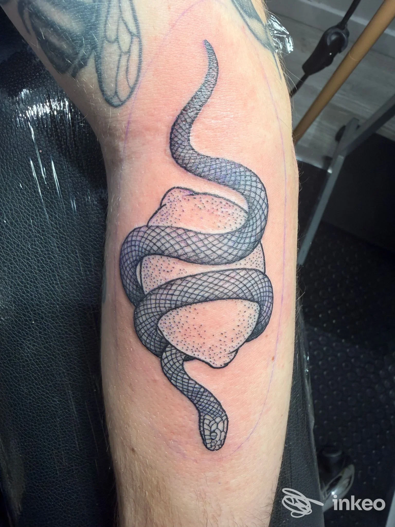 Tatuaggio di un serpente avvolto sull'avambraccio, foto condivisa da Mosaic tattoo a Roma, pelle ancora arrossata.