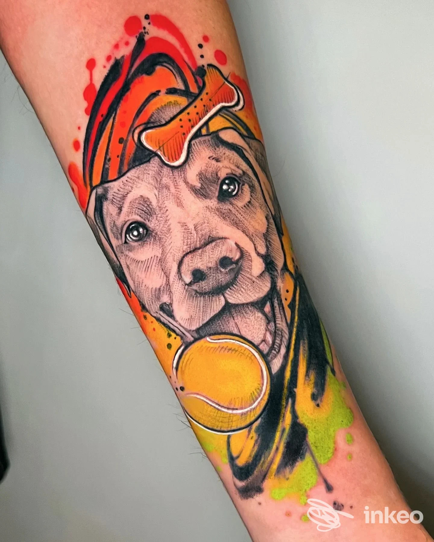 Tatuaggio su avambraccio raffigurante il muso di un cane con osso e pallina in colori vivaci — ROYAL INK ROMA TATTOO & PIERCING STUDIO, Roma.