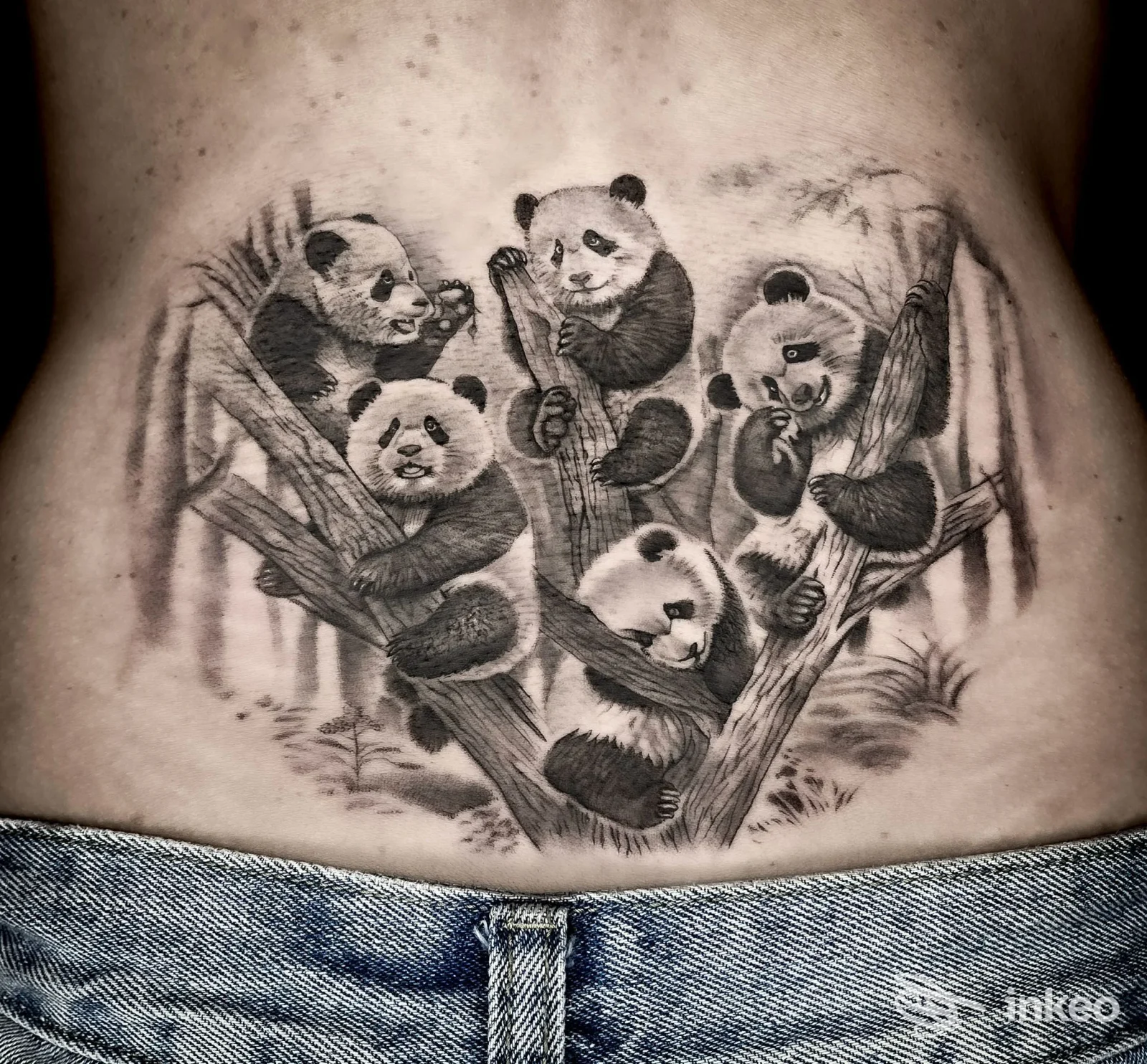 Tatuaggio black & grey con più panda su rami sul basso addome, foto fornita da Royal Queen Tattoo, Cisterna di Latina.