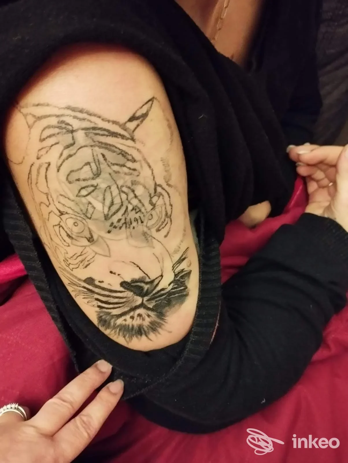 Contorno di una testa di tigre tatuata sul bicipite, foto inviata da Tatto Matto, Roma.
