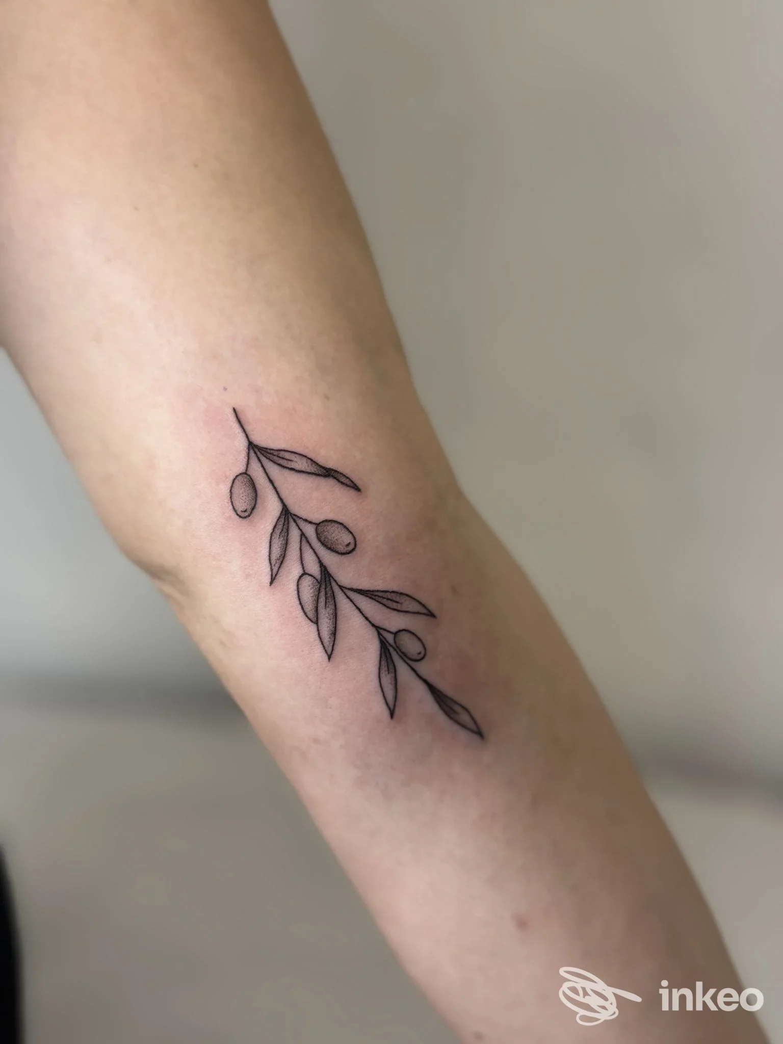 Tatuaggio minimal di ramo con olive sull'avambraccio interno, fotografato dopo la sessione; ST.PETER'S INK tattoo studio, Roma.