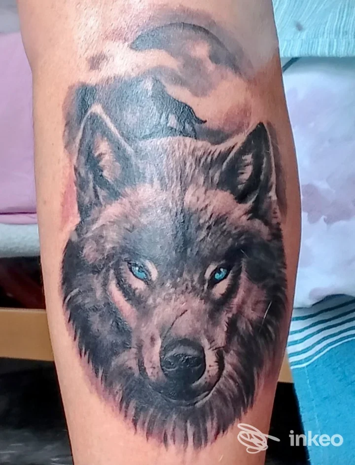 Tatuaggio realistico della testa di un lupo sul polpaccio, dettagli nei peli e occhi azzurri, lavoro eseguito da Tattoo Saloon a Roma.