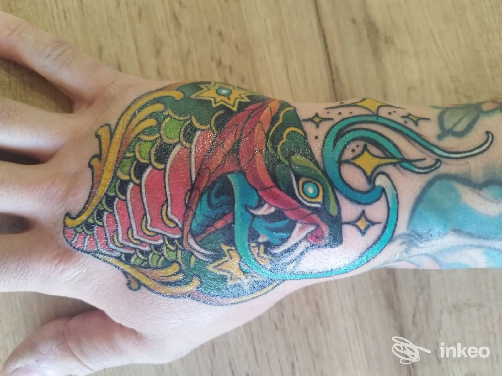 Tatuaggio a colori sul dorso della mano e polso, foto inviata da TenTails Tattoo - Roma.