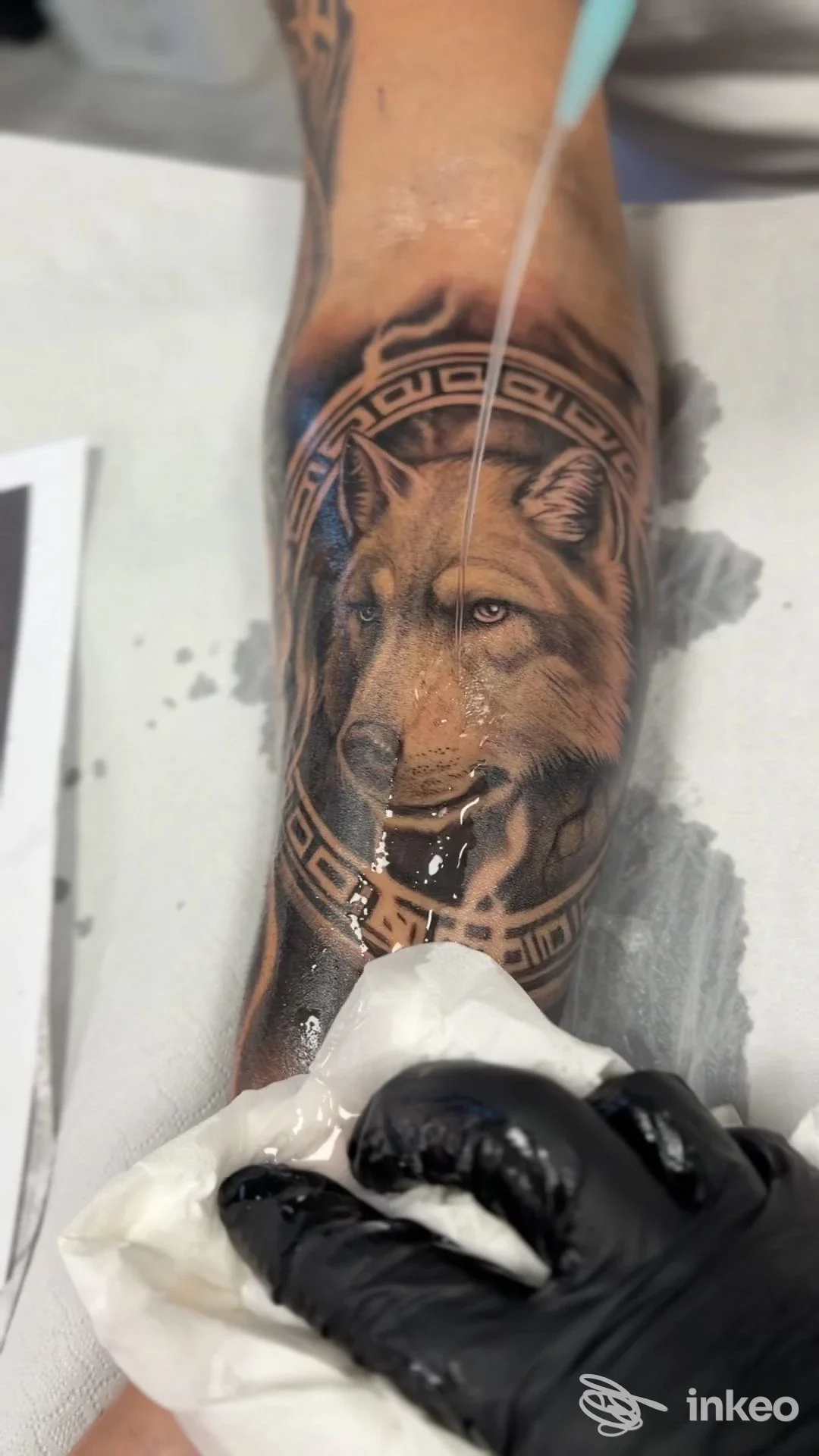 Tatuaggio realistico di lupo sull'avambraccio in fase di pulizia, lavoro mostrato da Tattoo Giordano a Velletri.