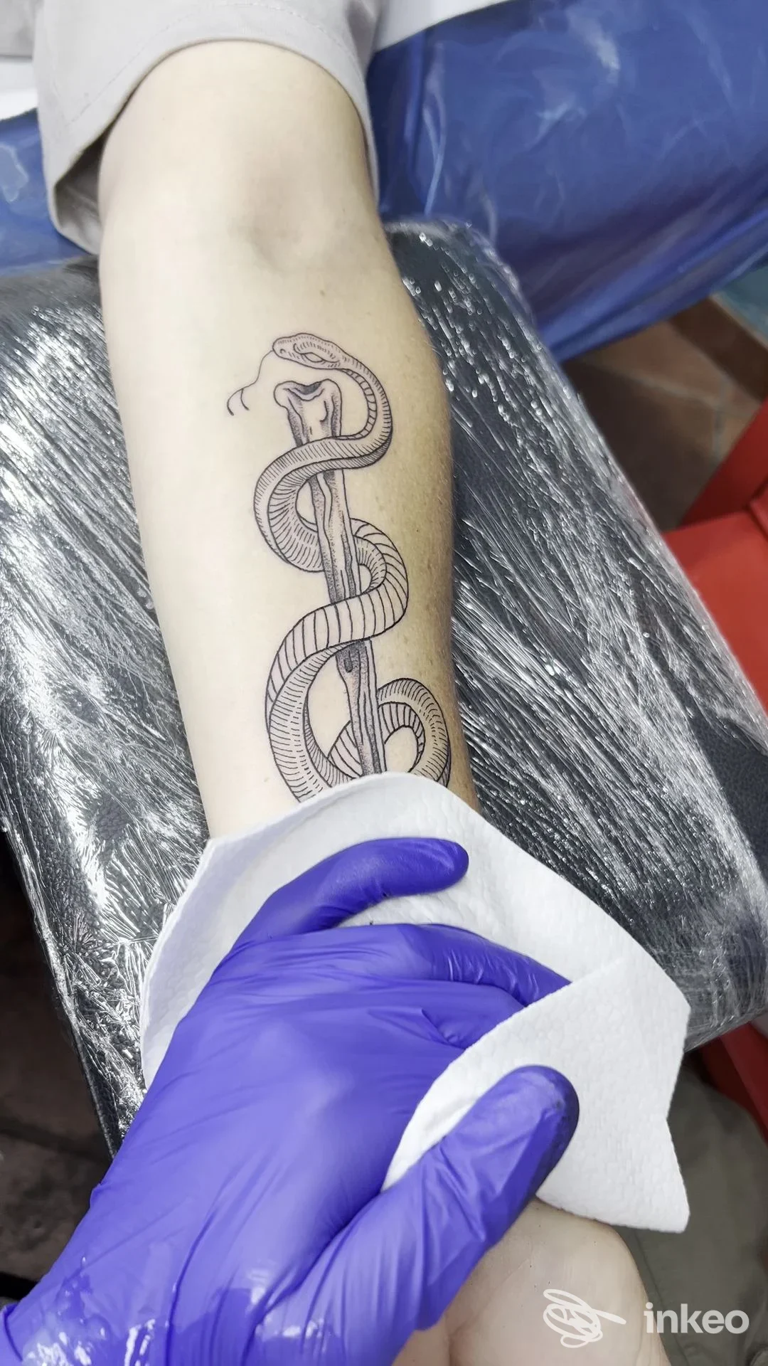 Primo piano di un tatuaggio a serpente stilizzato sull'avambraccio, foto scattata durante la seduta allo studio The Bad Church, Roma.
