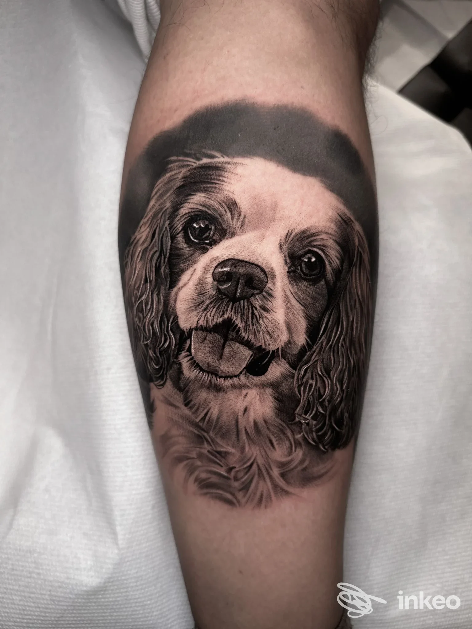 Tatuaggio realistico in bianco e nero del volto di un cane sull'avambraccio, lavoro di Virtumtattoostudio, Roma.