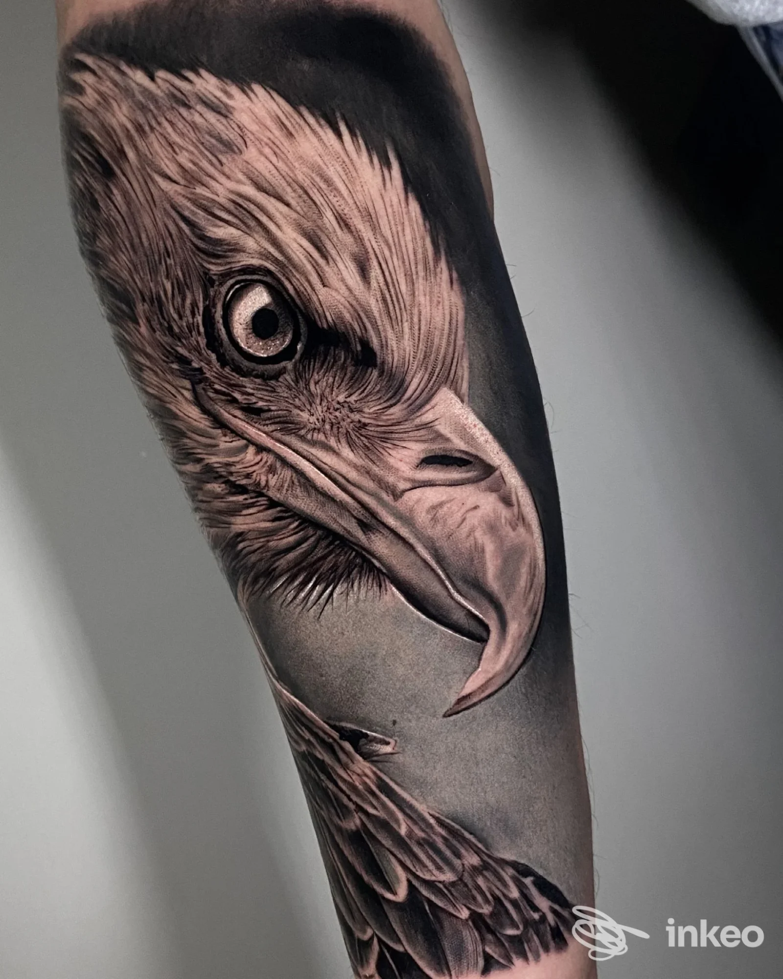 Tatuaggio realistico di un'aquila sull'avambraccio, foto fornita da Virtumtattoostudio, Roma.