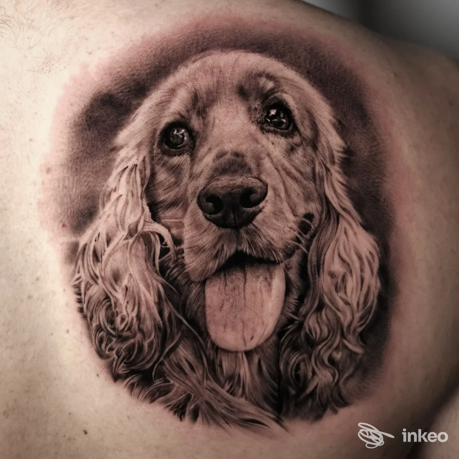 Ritratto realistico di cane tatuato sulla spalla/parte superiore della schiena, realizzato da Virtumtattoostudio, Roma.