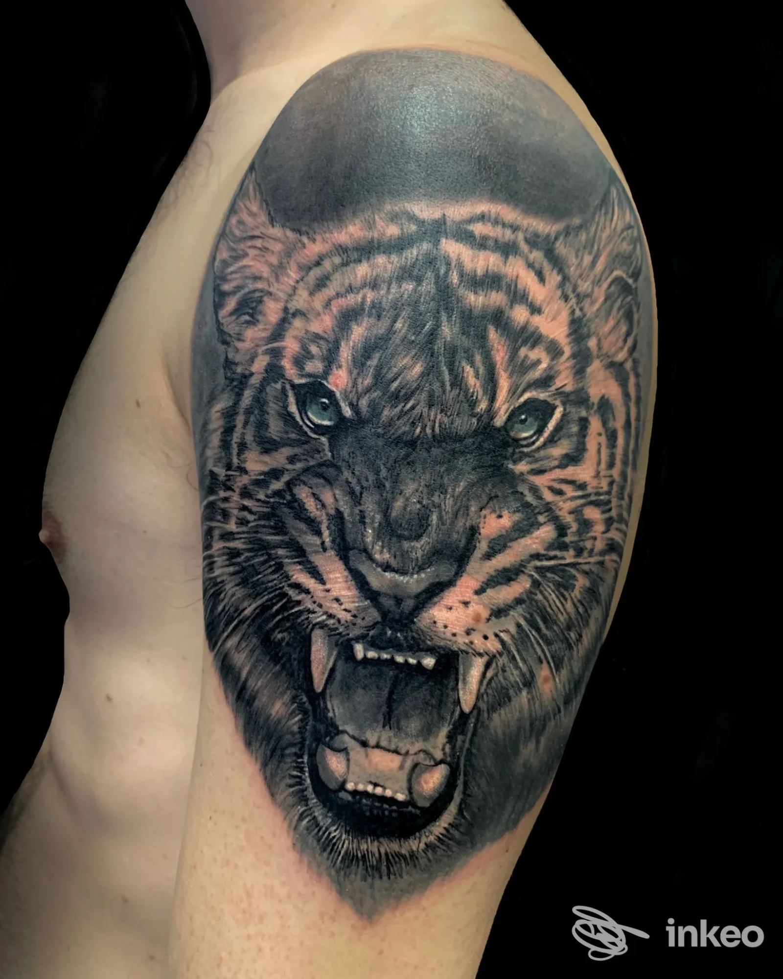 Ampio tatuaggio realistico di testa di tigre sul braccio superiore di un cliente, eseguito da Black Ink Tattoo di Simone D'Auria, Roma.