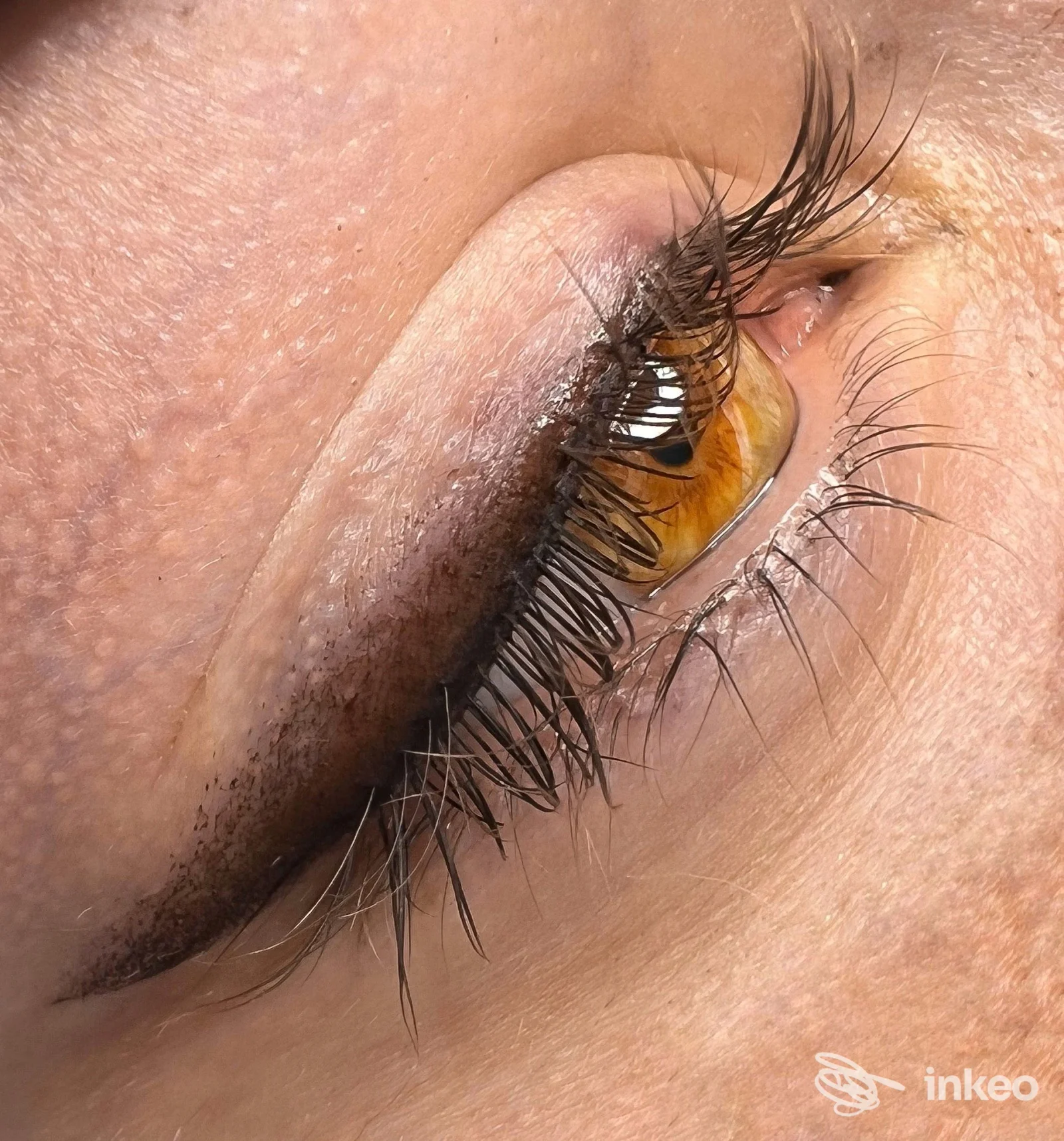 Primo piano di eyeliner permanente eseguito sulla palpebra superiore, fotografia dello studio Martina Chiesa - Microblading, Roma.