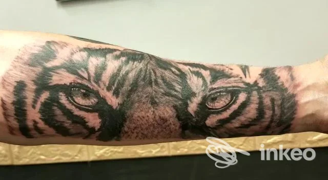 Tatuaggio occhi di tigre eseguito sull'avambraccio, foto resa da Studio inkanto beauty e tattoo a Roma.