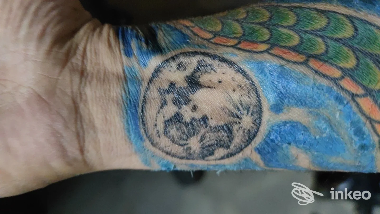 Tatuaggio al polso/avambraccio con squame colorate e un cerchio puntinato, scatto fornito da Thunder Room a Formia