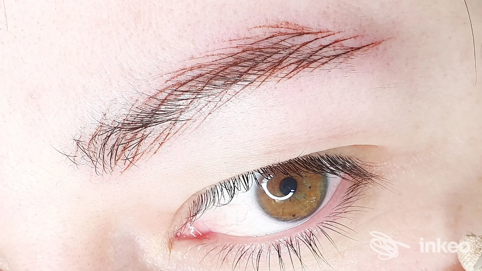 Primo piano di sopracciglio con microblading dopo trattamento, foto di Sonia Pignataro Permanent Make Up, Roma.
