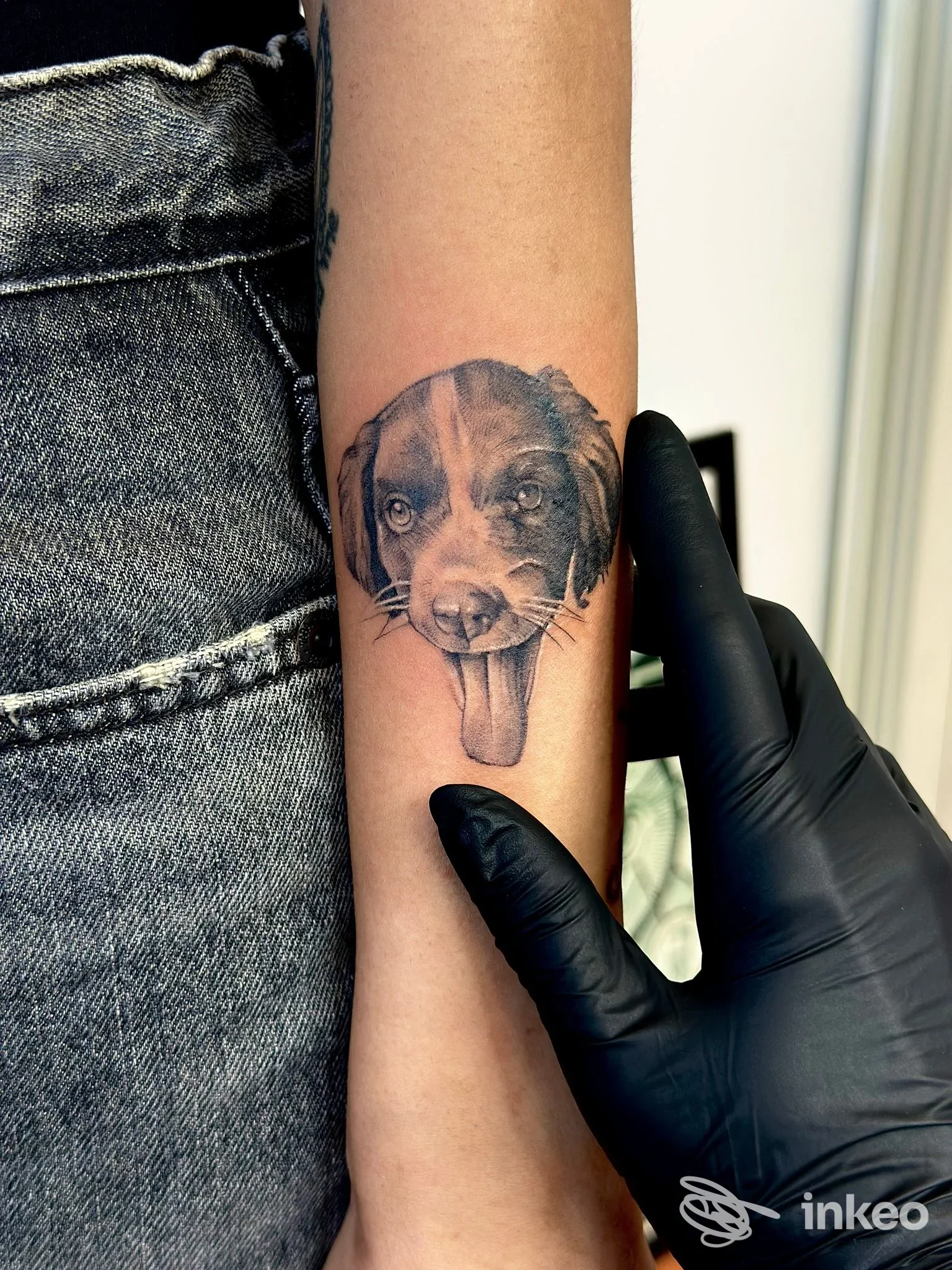 Tatuaggio realistico della testa di un cane sull'avambraccio, foto scattata nello studio 741 Tattoo Parlour Vallecrosia a Vallecrosia al Mare.