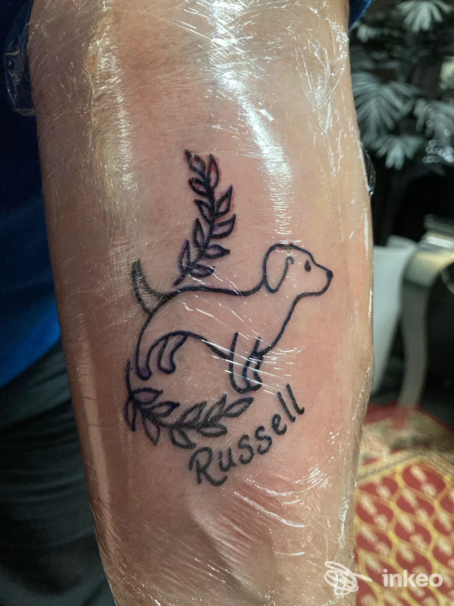 Tatuaggio stilizzato di un cane con rami fogliati sull'avambraccio, realizzato da INKPERIA TATTOO & PIERCING a Imperia.
