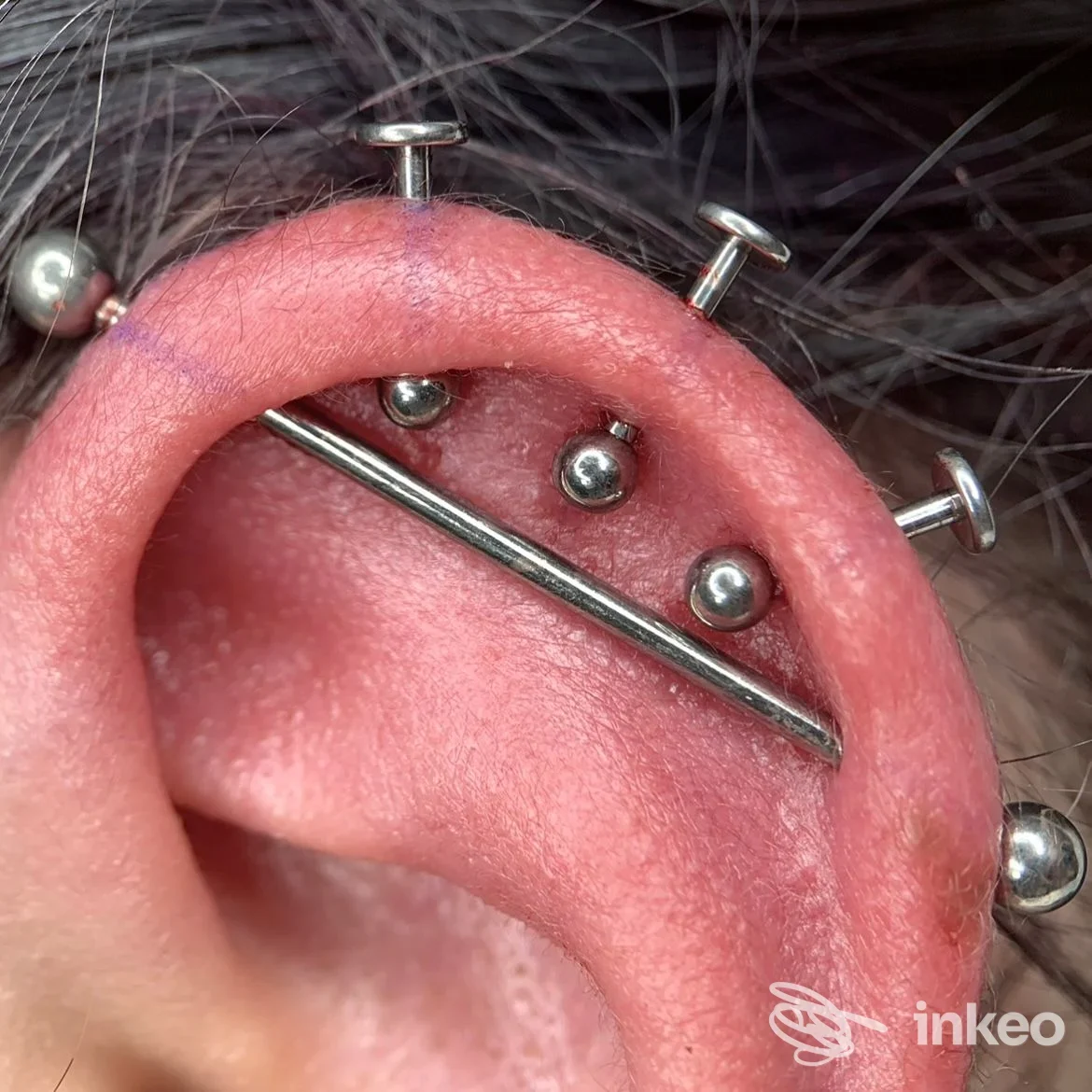 Primo piano dell'orecchio con diversi piercing industrial e svariati gioielli, immagine fornita da ATYPICAL Body Piercing Studio, Genova.