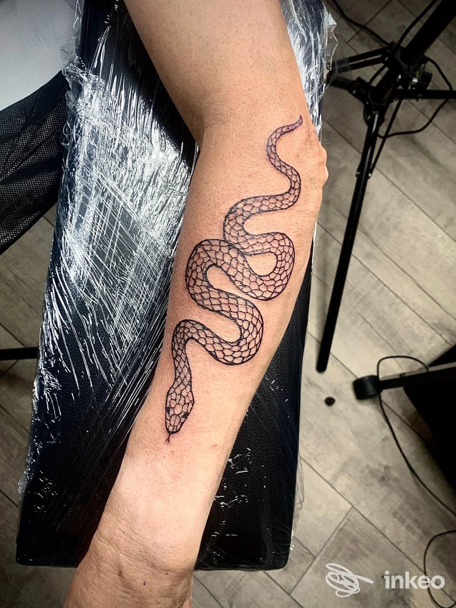 Primo piano di un tatuaggio a forma di serpente sull'avambraccio, foto realizzata presso D.ink TATTOO STUDIO a Ventimiglia.