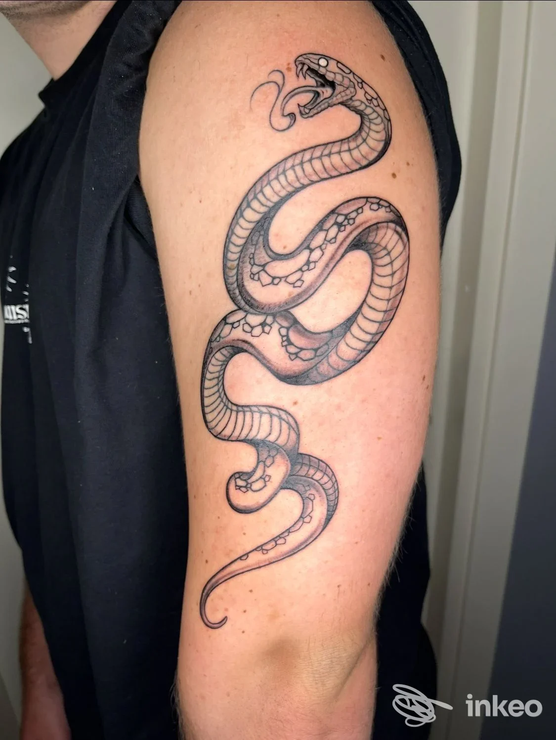 Tatuaggio di serpente in nero con ombreggiature sul braccio superiore, foto scattata in studio. Black Buddha Tattoo Studio, Savona.