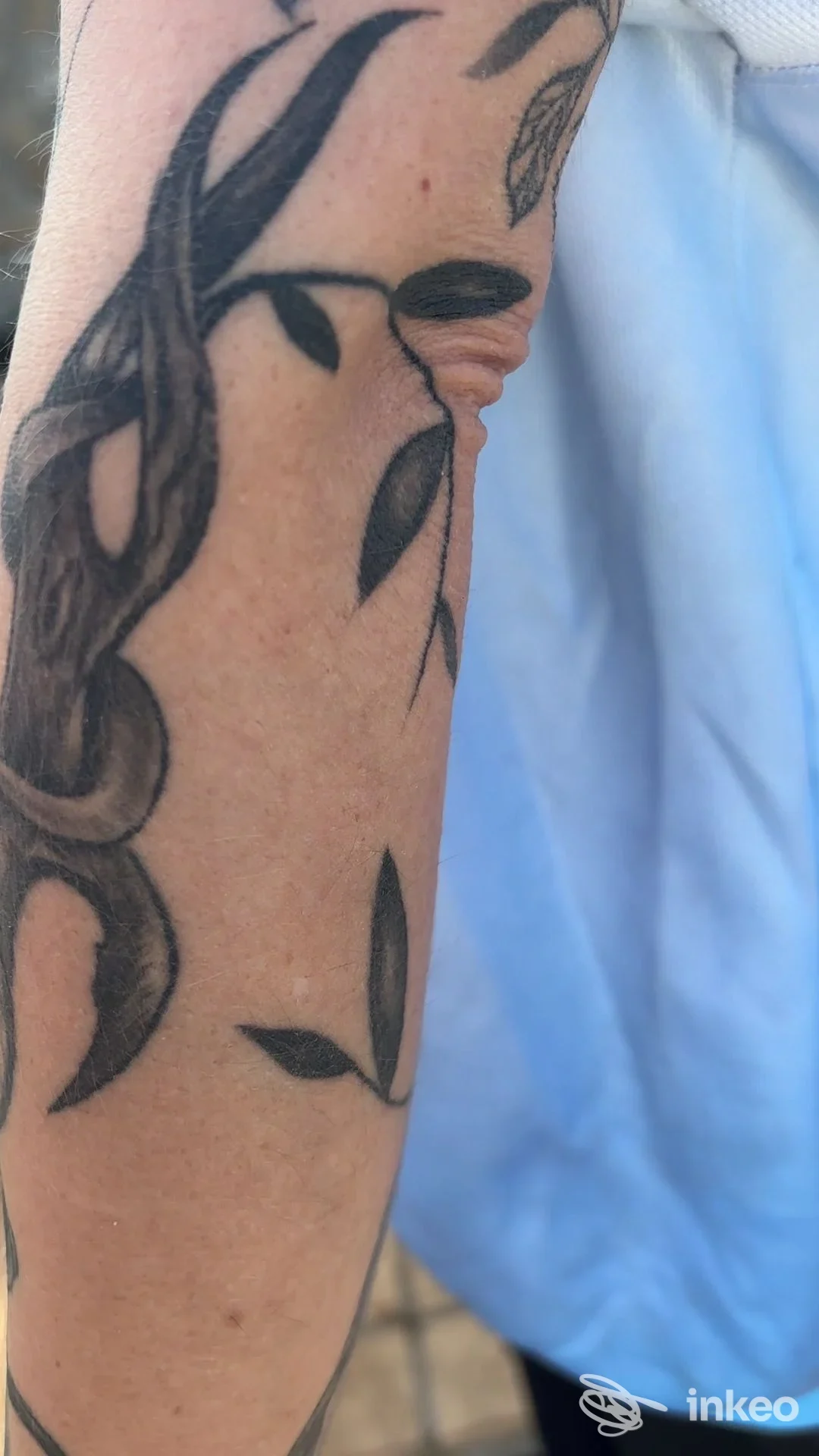 Avambraccio con tatuaggio a foglie nero, foto inviata dallo studio Crazy n' Tina Tattoo a Brugnato.