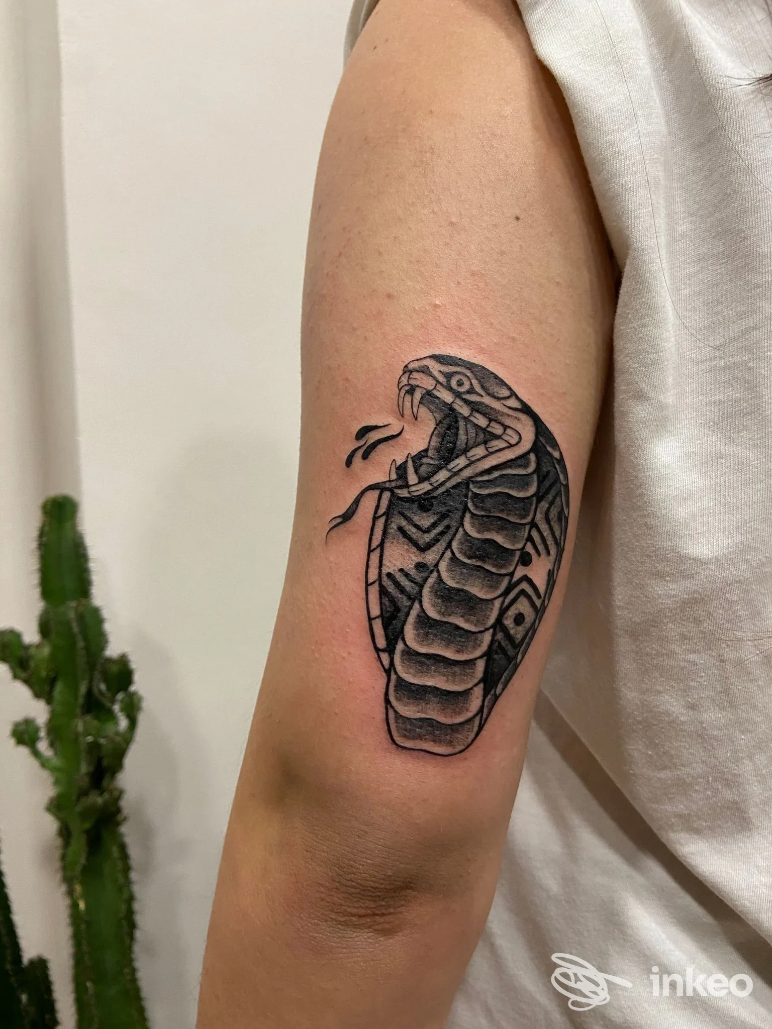 Tatuaggio di un cobra in nero sul braccio superiore, fotografia inviata da Casa Amable Tattoo Studio a Spotorno.