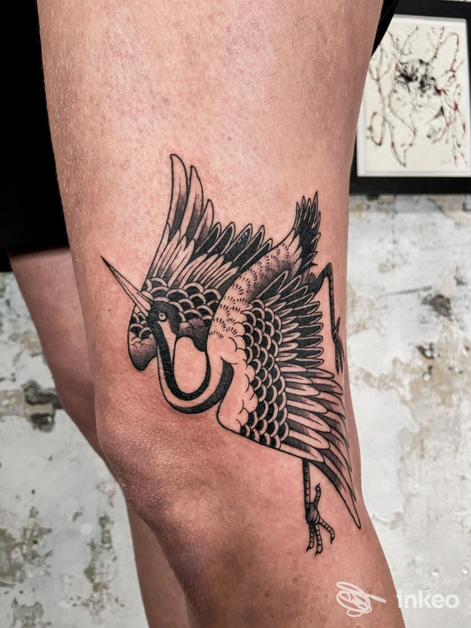 Tatuaggio nero a tema uccello sul ginocchio e parte superiore della gamba, Casa Amable Tattoo Studio, Spotorno.